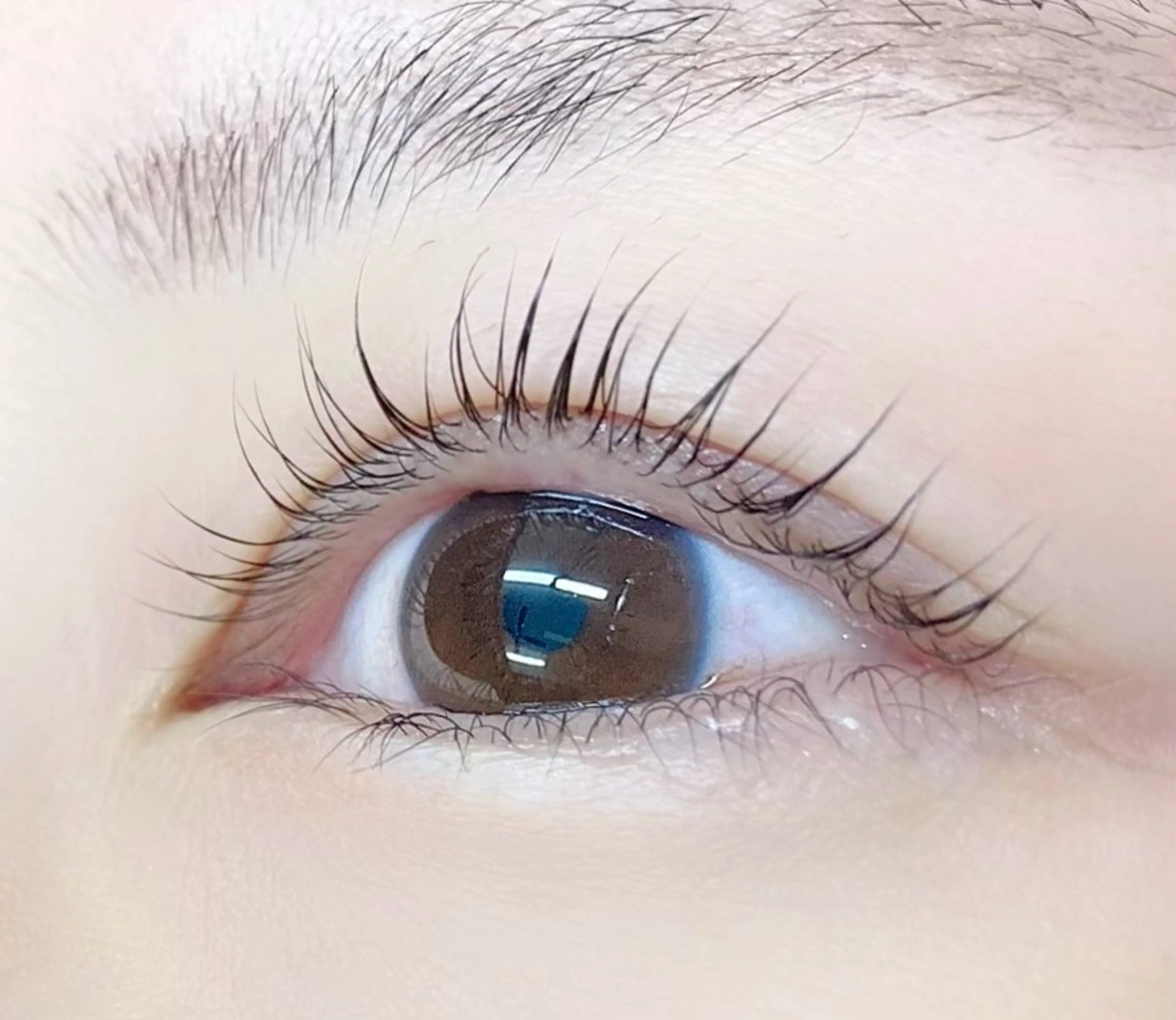 マツエク・マツパ アミーラ所属・Amira/アミーラ YU-KA🤍のマツエク・マツパデザイン