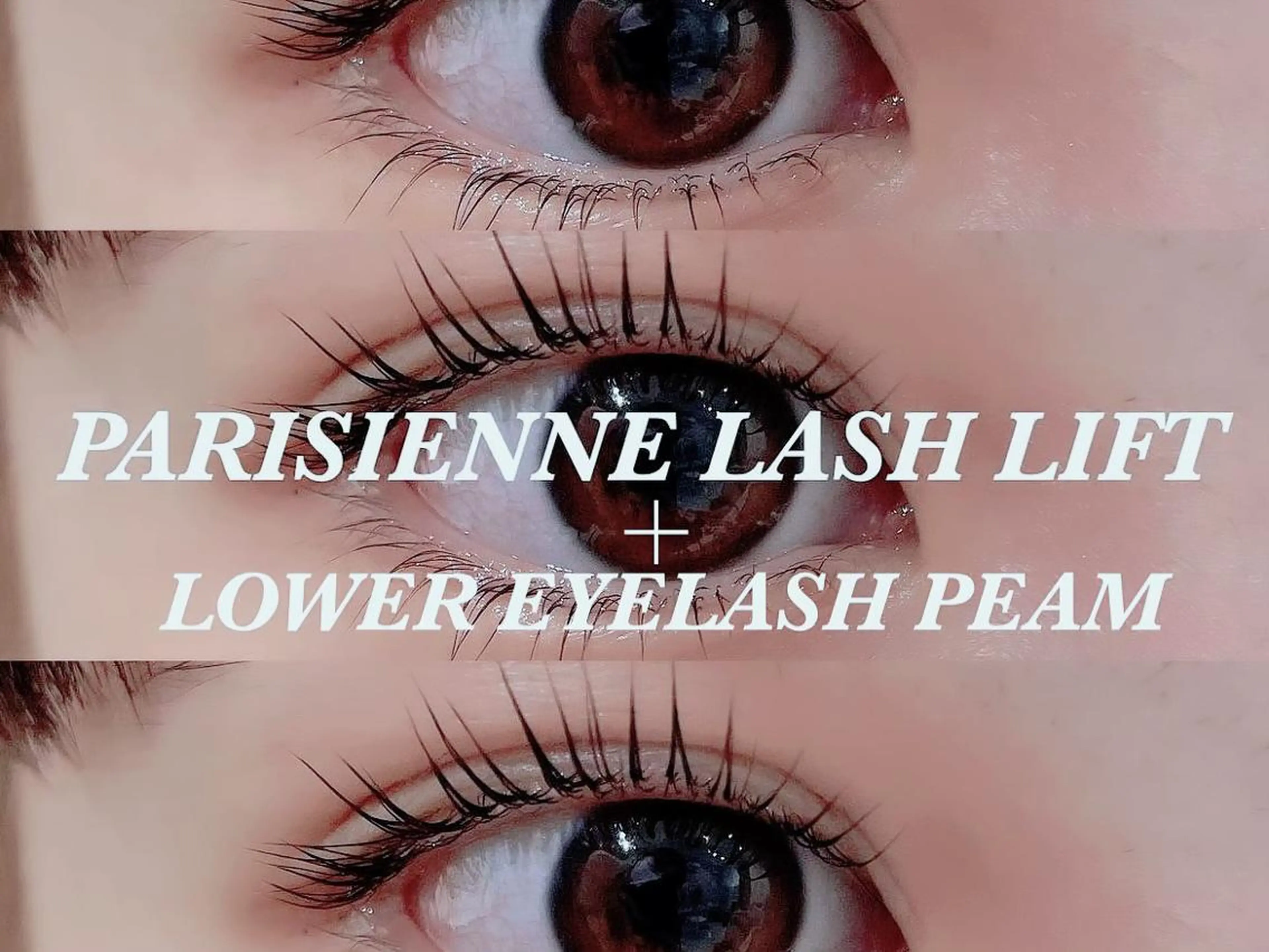 マツエク・マツパ マツパ R'ocoLush 恵比寿店江川のマツエク・マツパデザイン