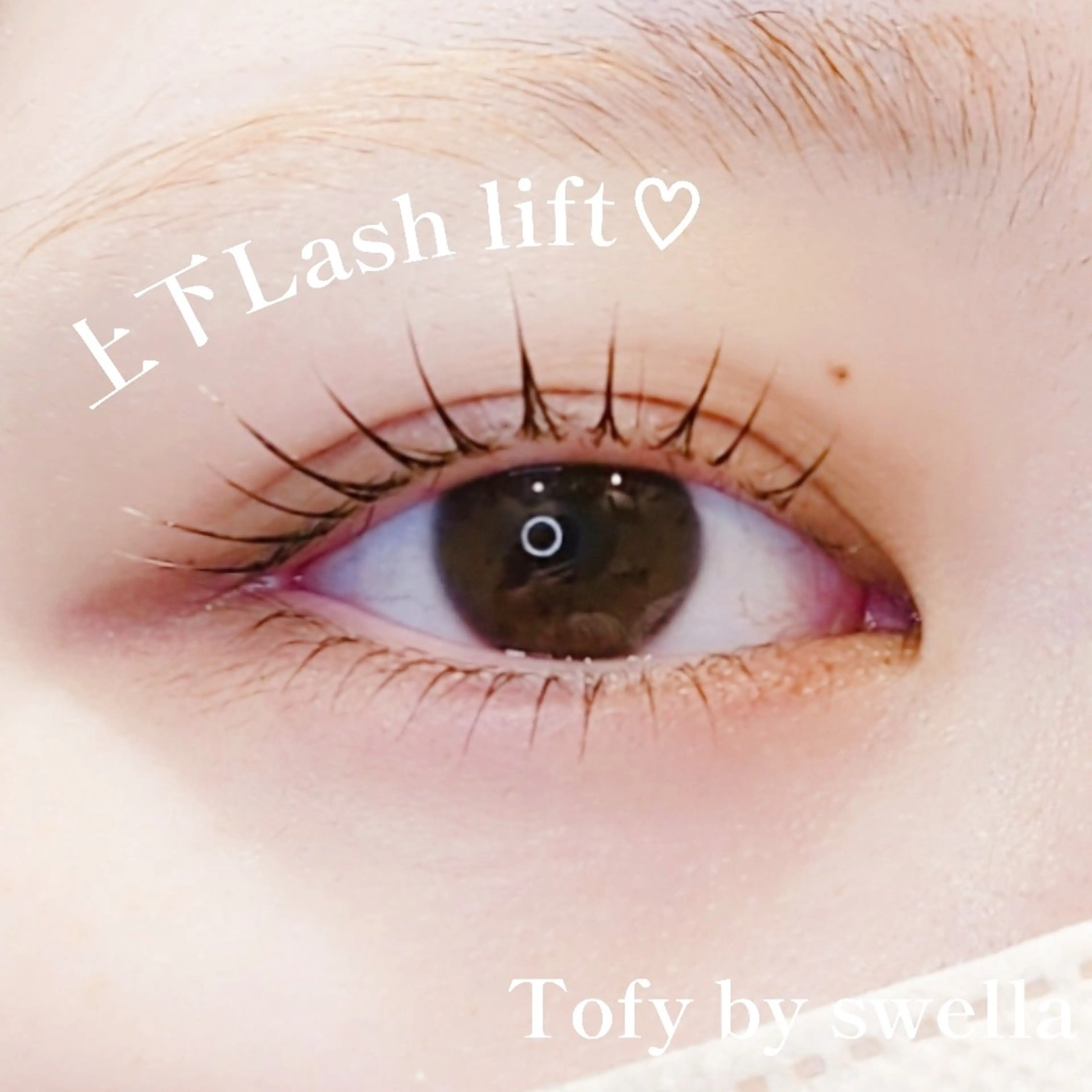 マツエク・マツパ マツパ eyelist 🌙ゆうのマツエク・マツパデザイン