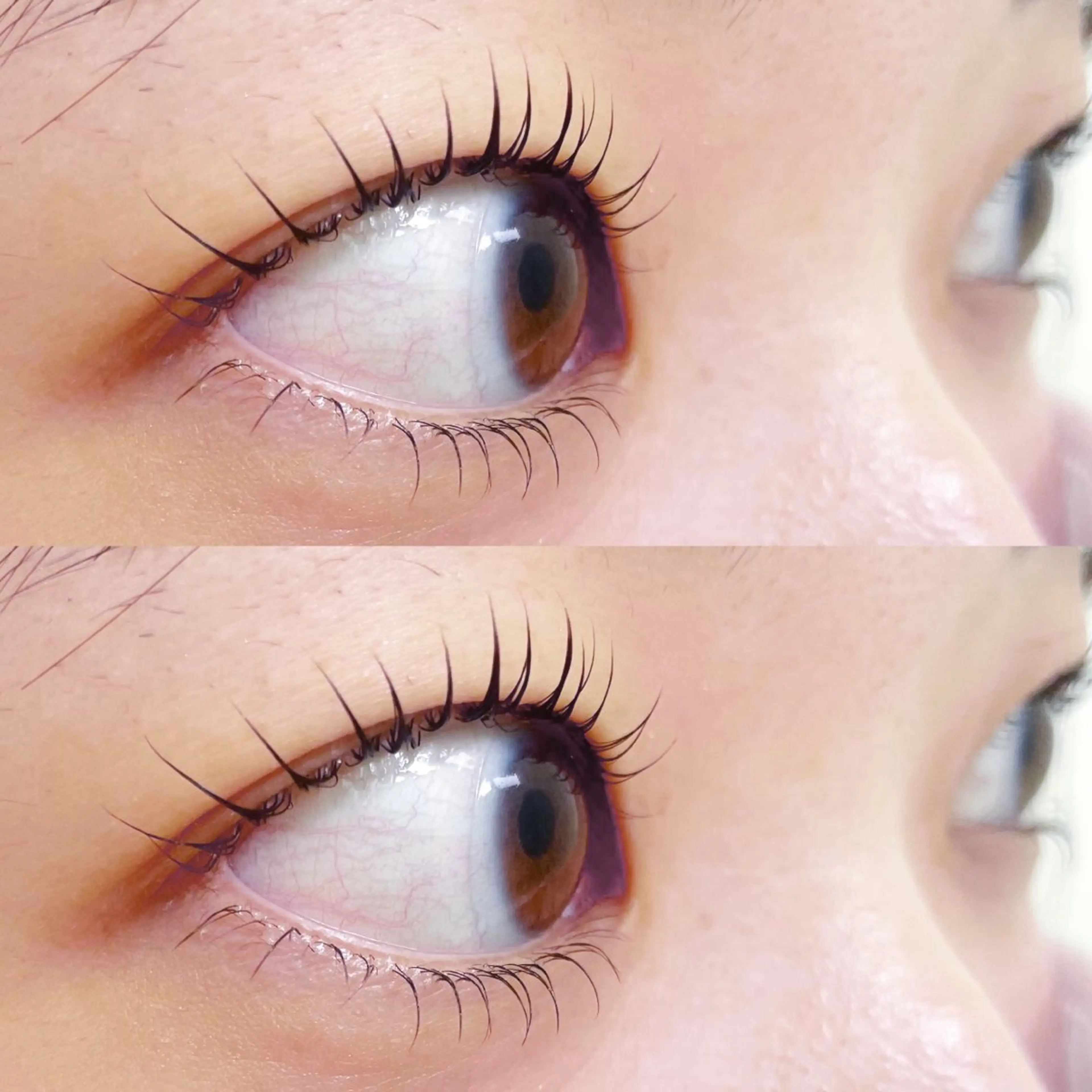 マツエク・マツパ NUN BROWS ⚜️ERIの眉毛・アイブロウイメージ