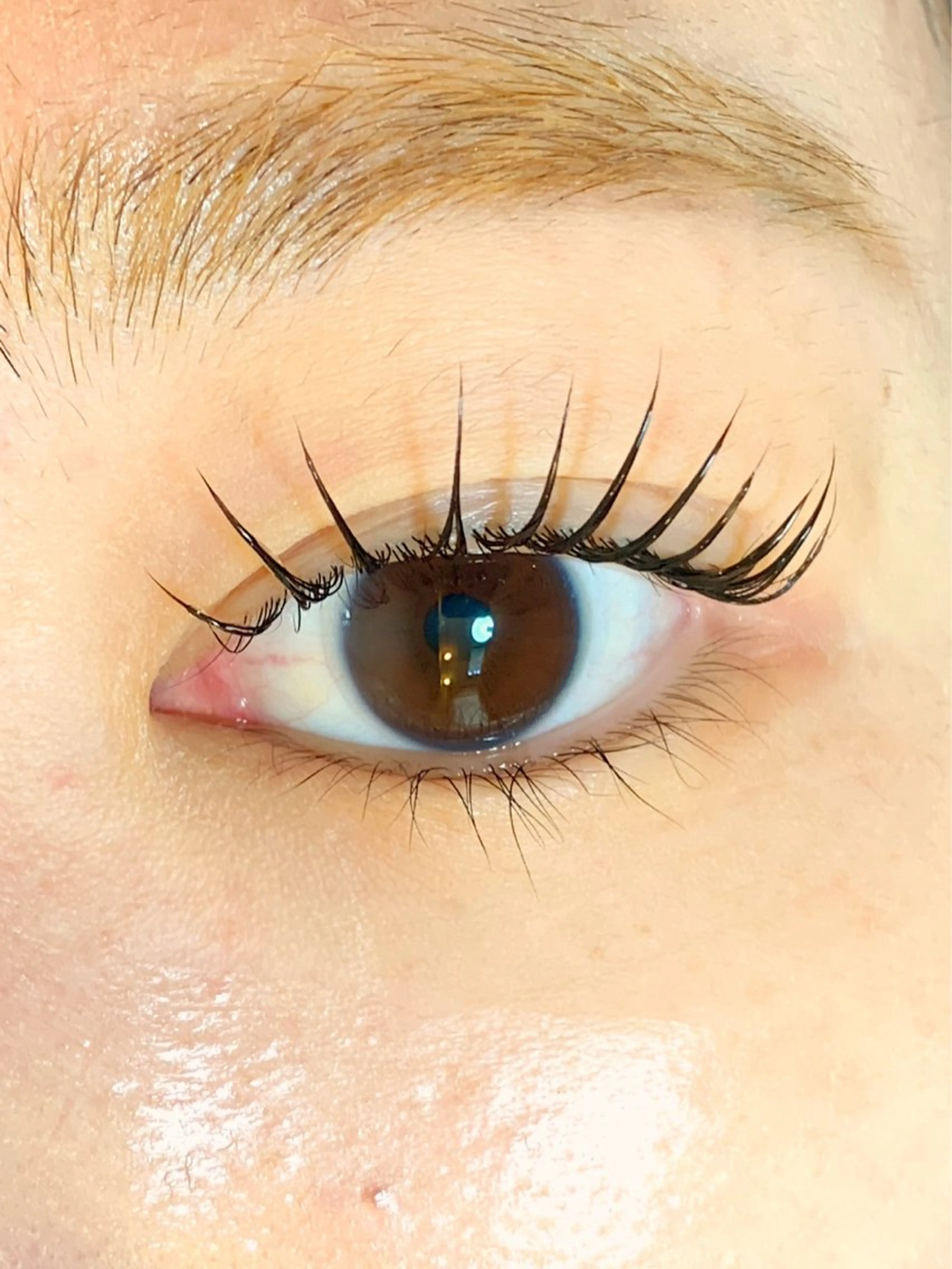 マツエク・マツパ パリジェンヌラッシュリフト エクステ/眉/LED peTiT堀口のマツエク・マツパデザイン