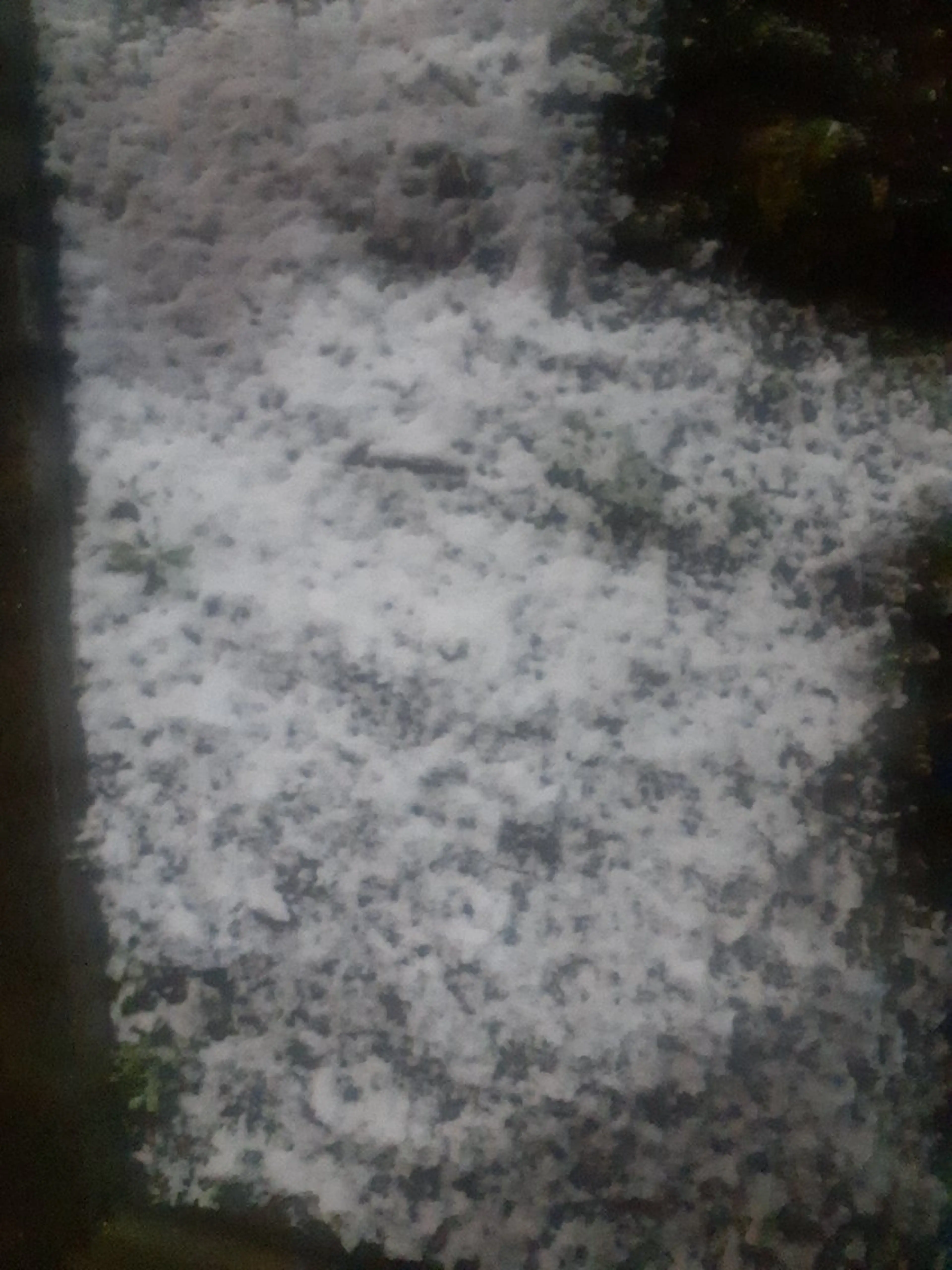 千の樹所属・久保 美咲(女性専用)のエステ・リラクイメージ