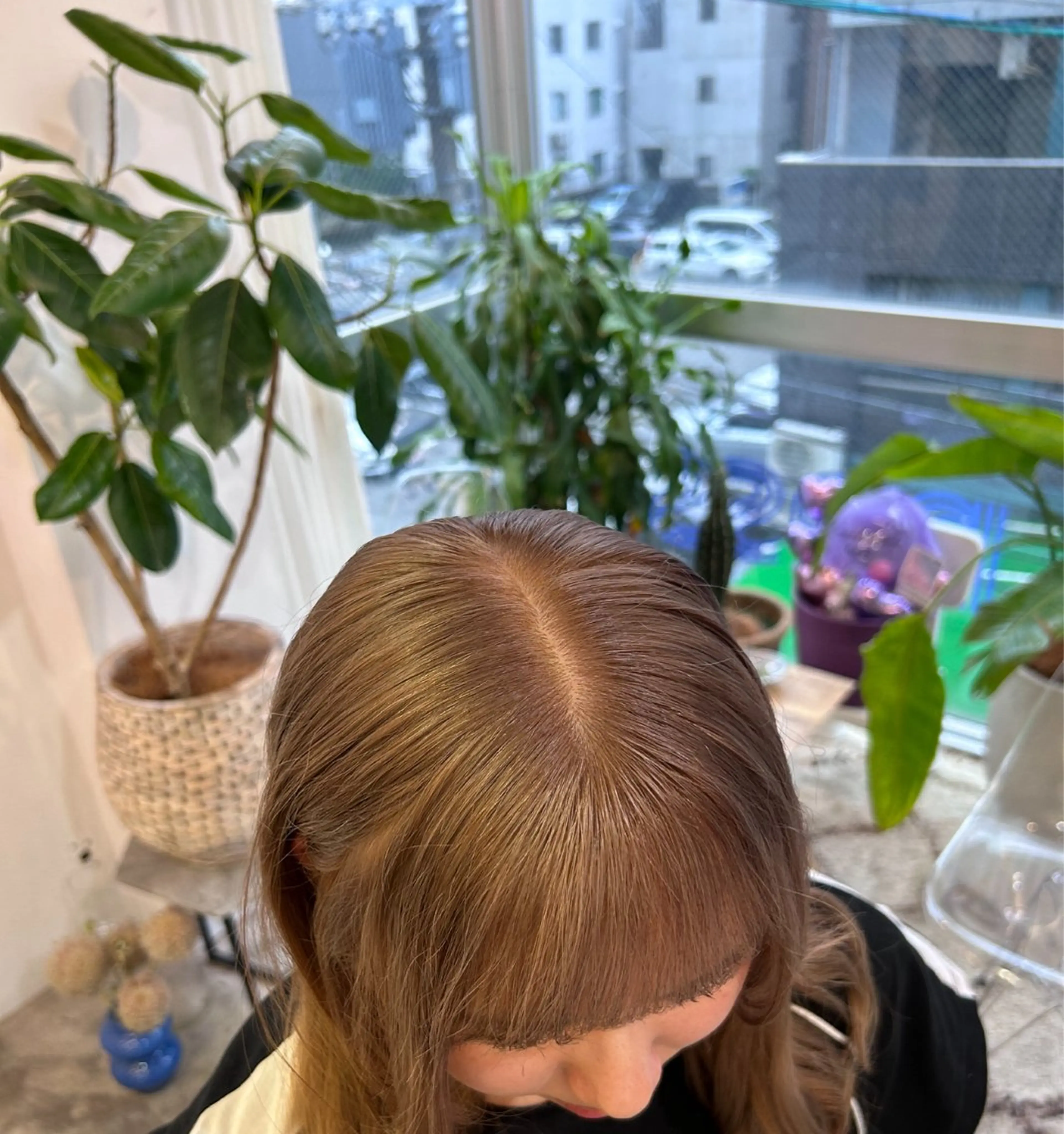 カラー 🐩🎀ness / ルリ🔮🍓のヘアスタイル