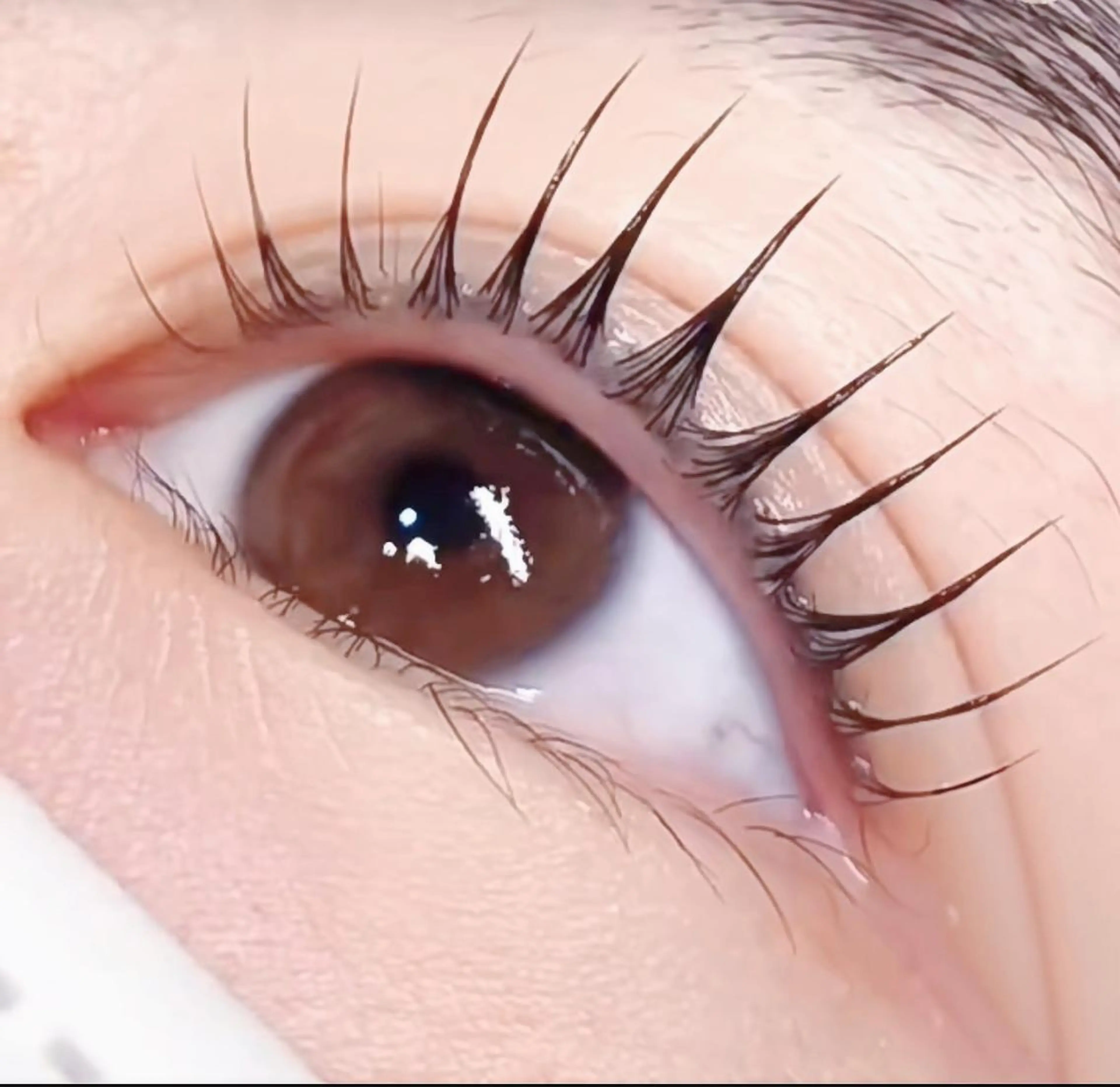 マツエク・マツパ ∩_∩アオイ eye lashのマツエク・マツパデザイン