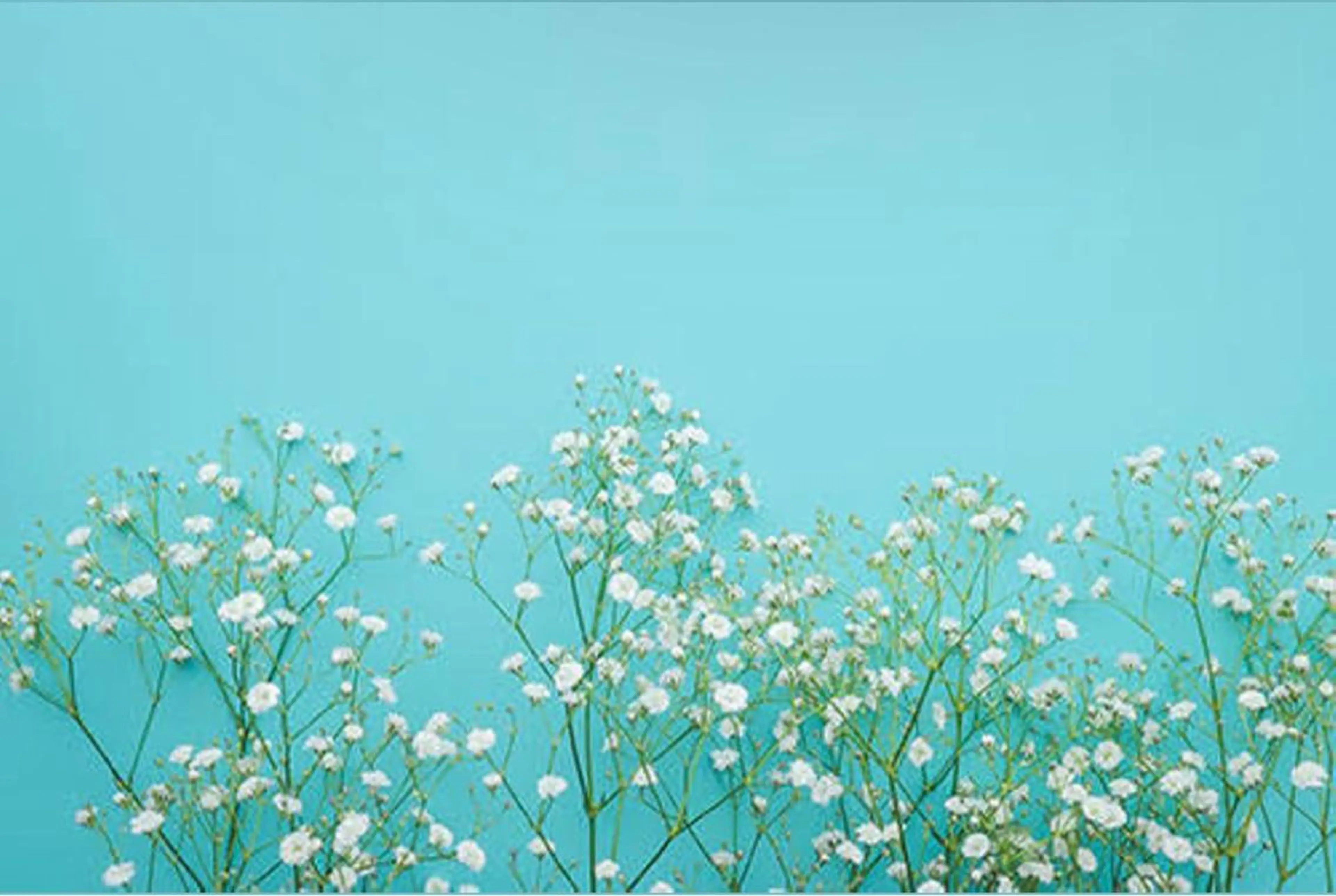 マツエク・マツパ やまもと あいらのマツエク・マツパデザイン