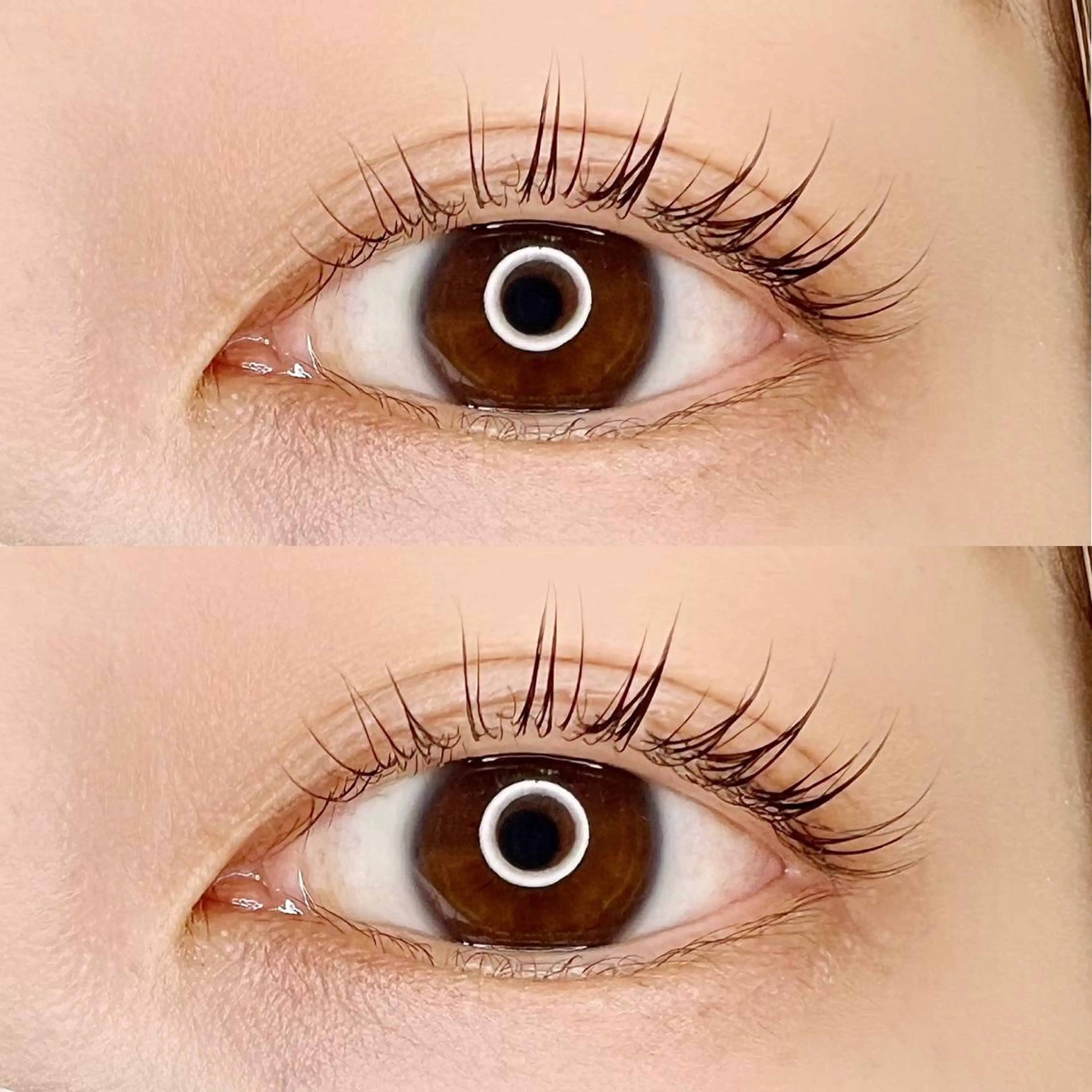 マツエク・マツパ Madonna Lilyのマツエク・マツパデザイン