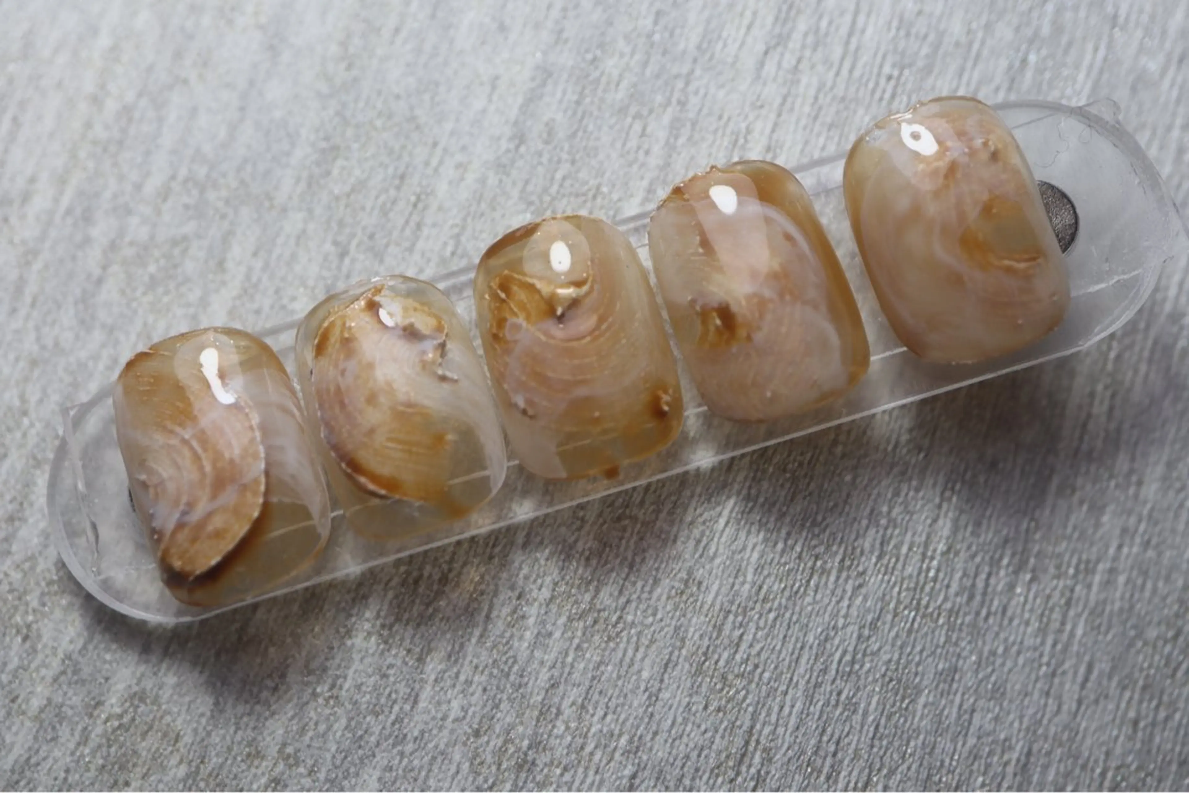 ネイル ニュアンスネイル 春ネイル Ayumi nails川崎店のネイルデザイン