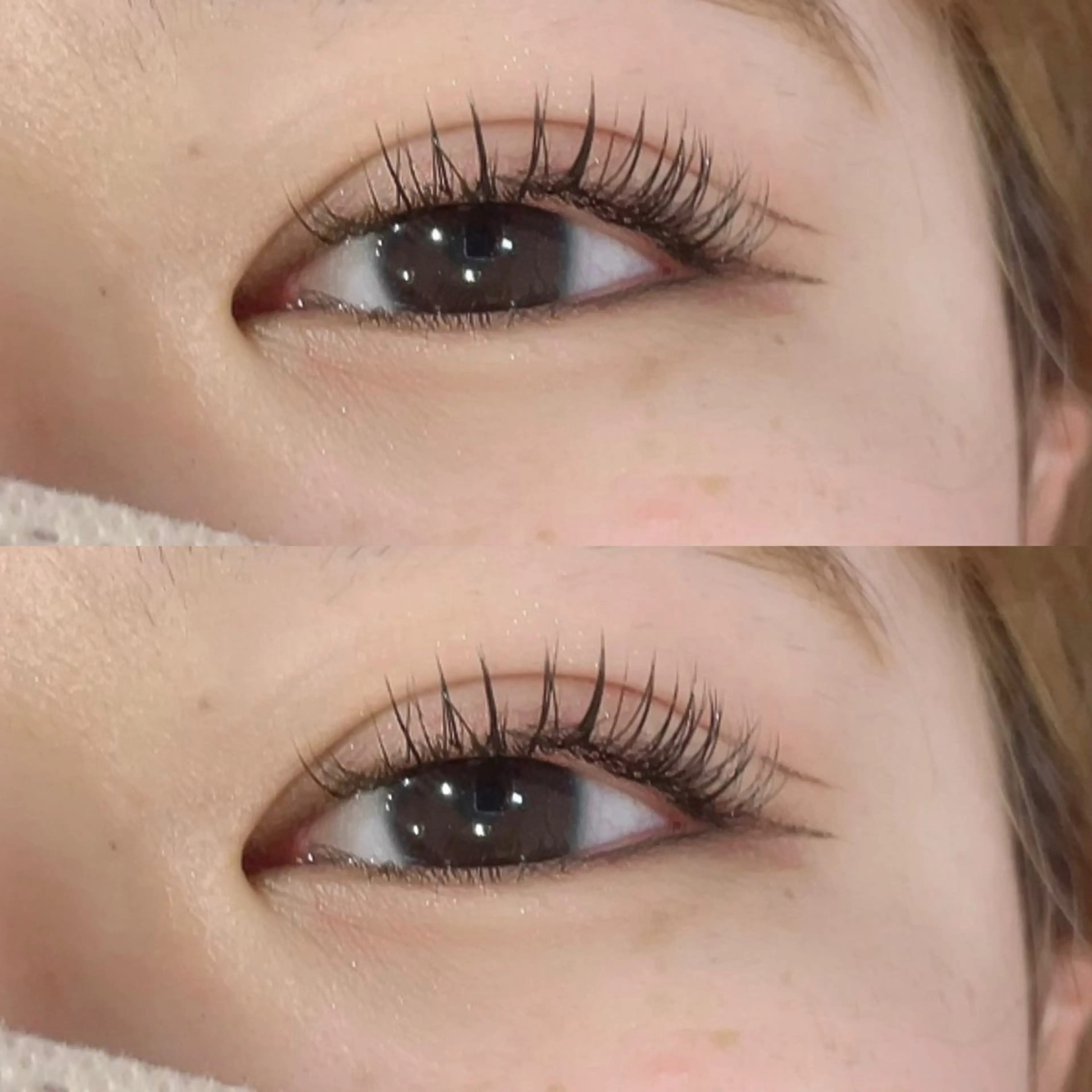 マツエク・マツパ フラットラッシュ BUNNY EYES 堀のマツエク・マツパデザイン