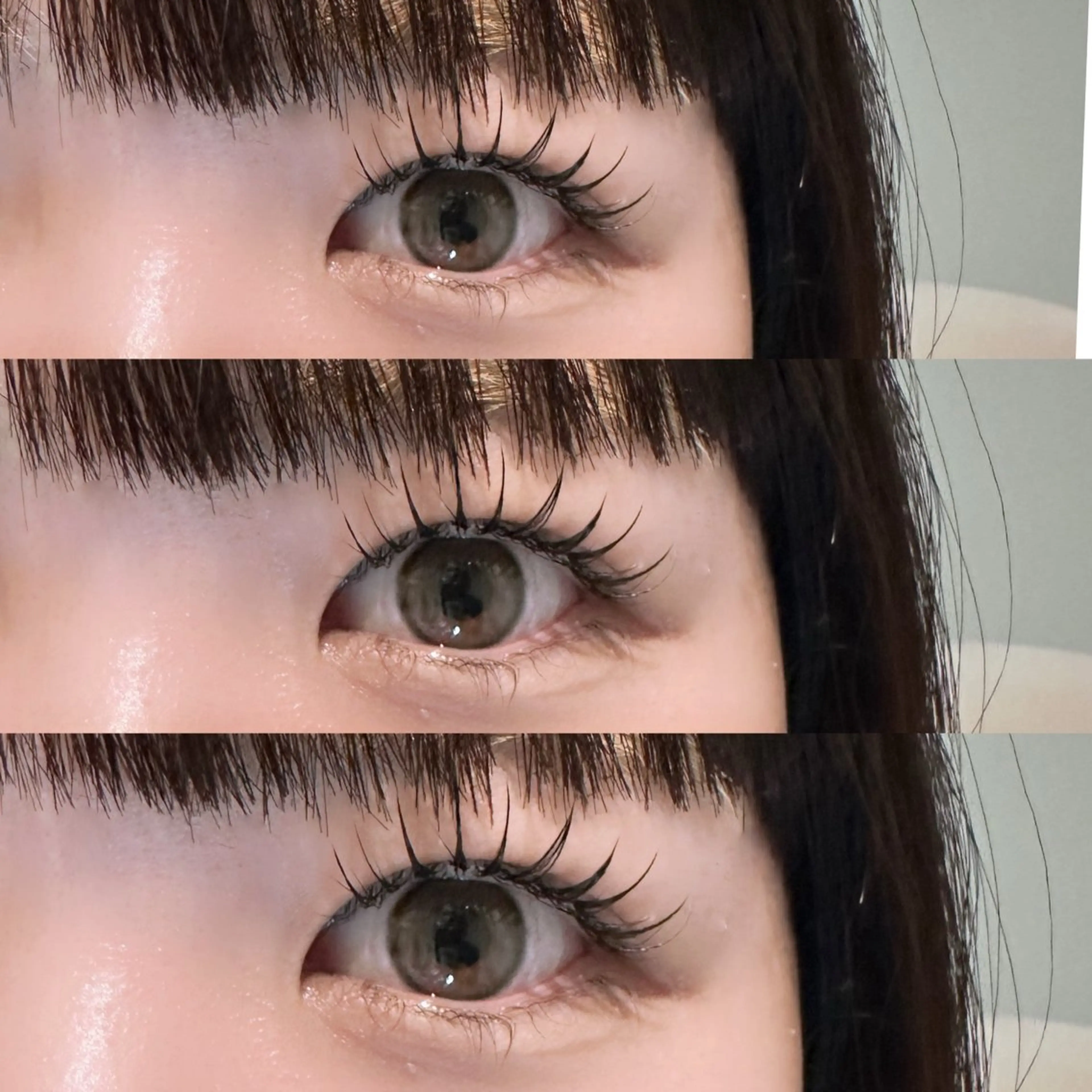 アンドヘルシー120本の写真