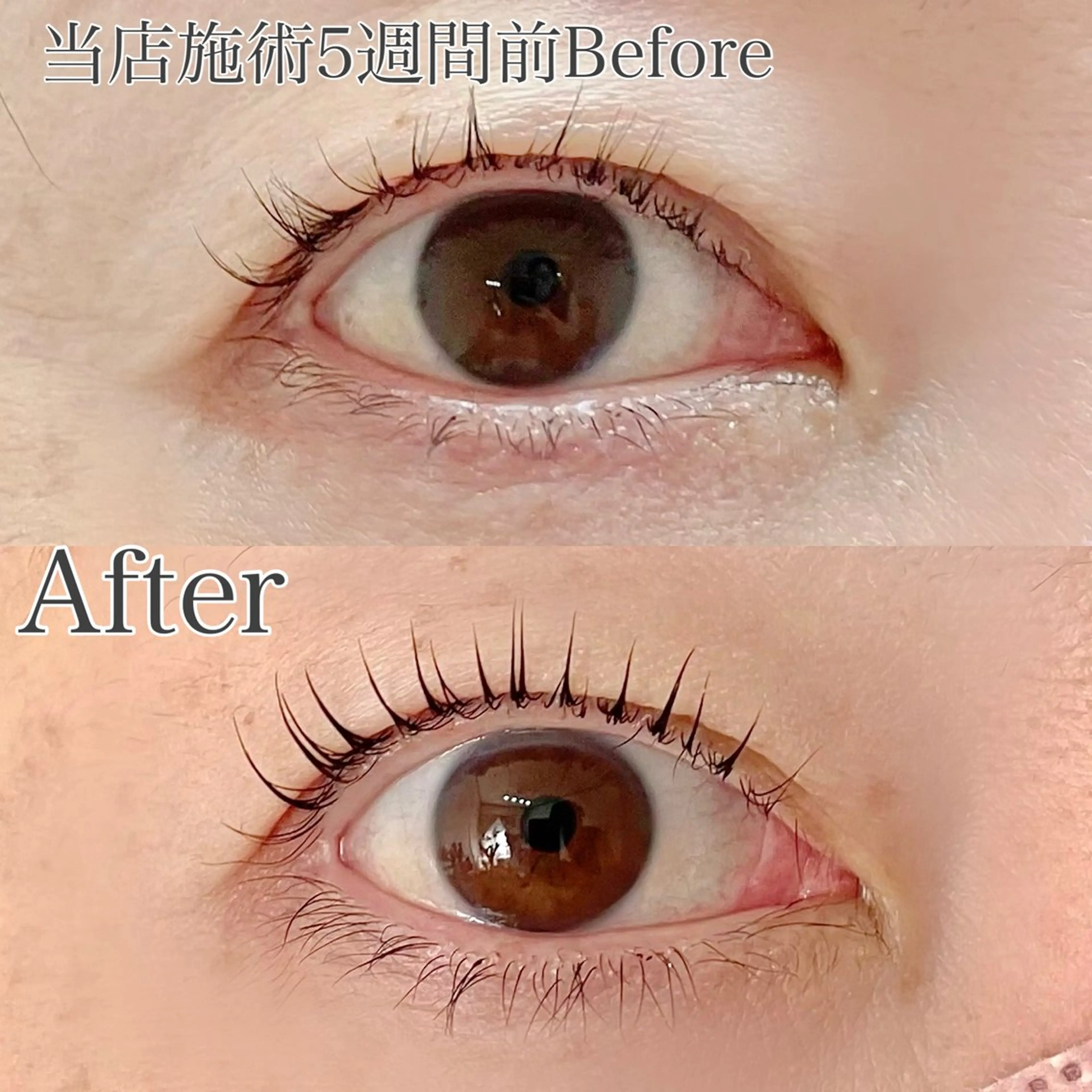 マツエク・マツパ 一重×まつ毛パーマ マツパ La Peche momokoのマツエク・マツパデザイン