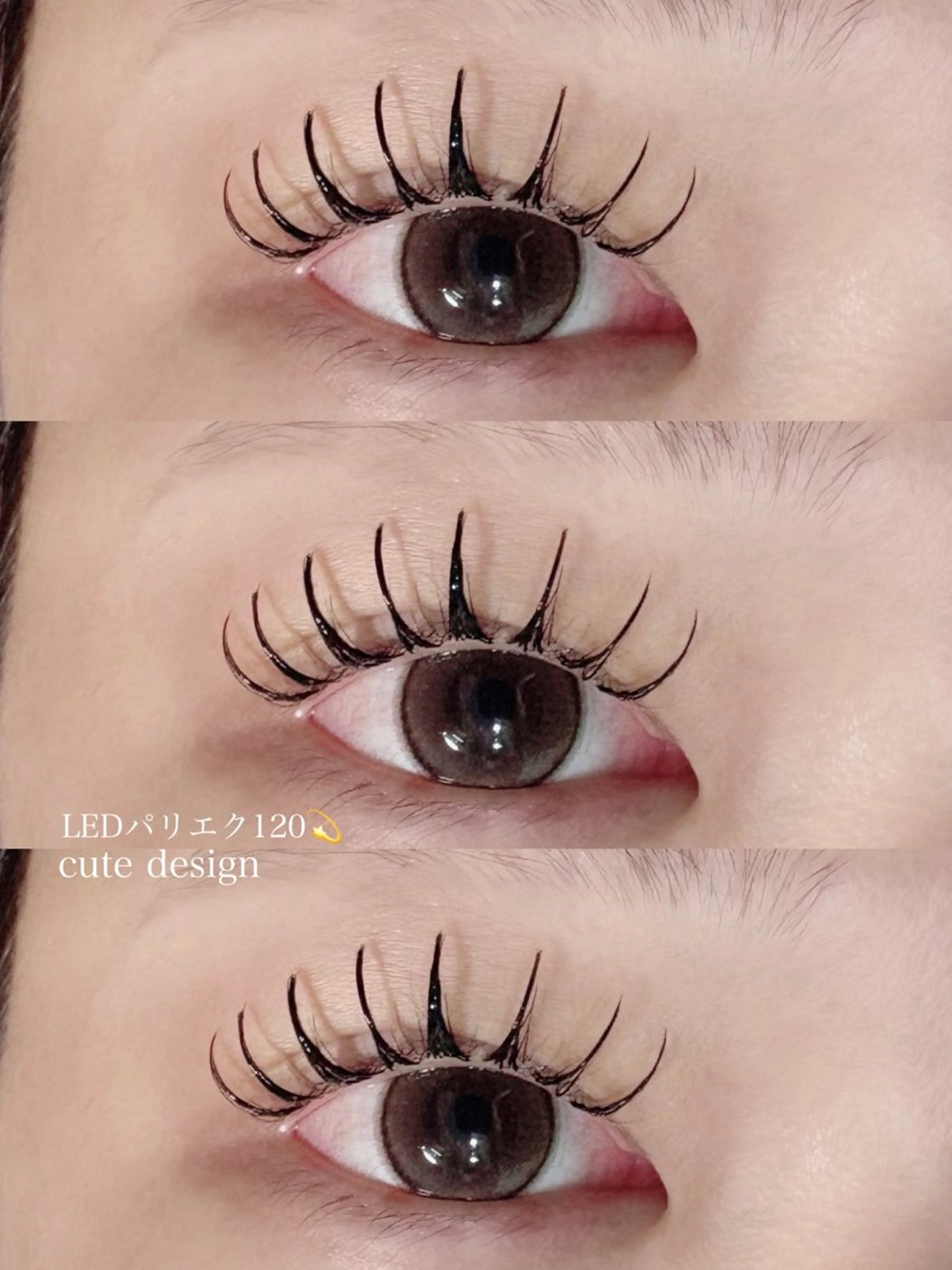 【初回限定🍒】LEDパリエクorLEDアンドヘルシー120本以下✨️アイシャンプー付き🫧の写真