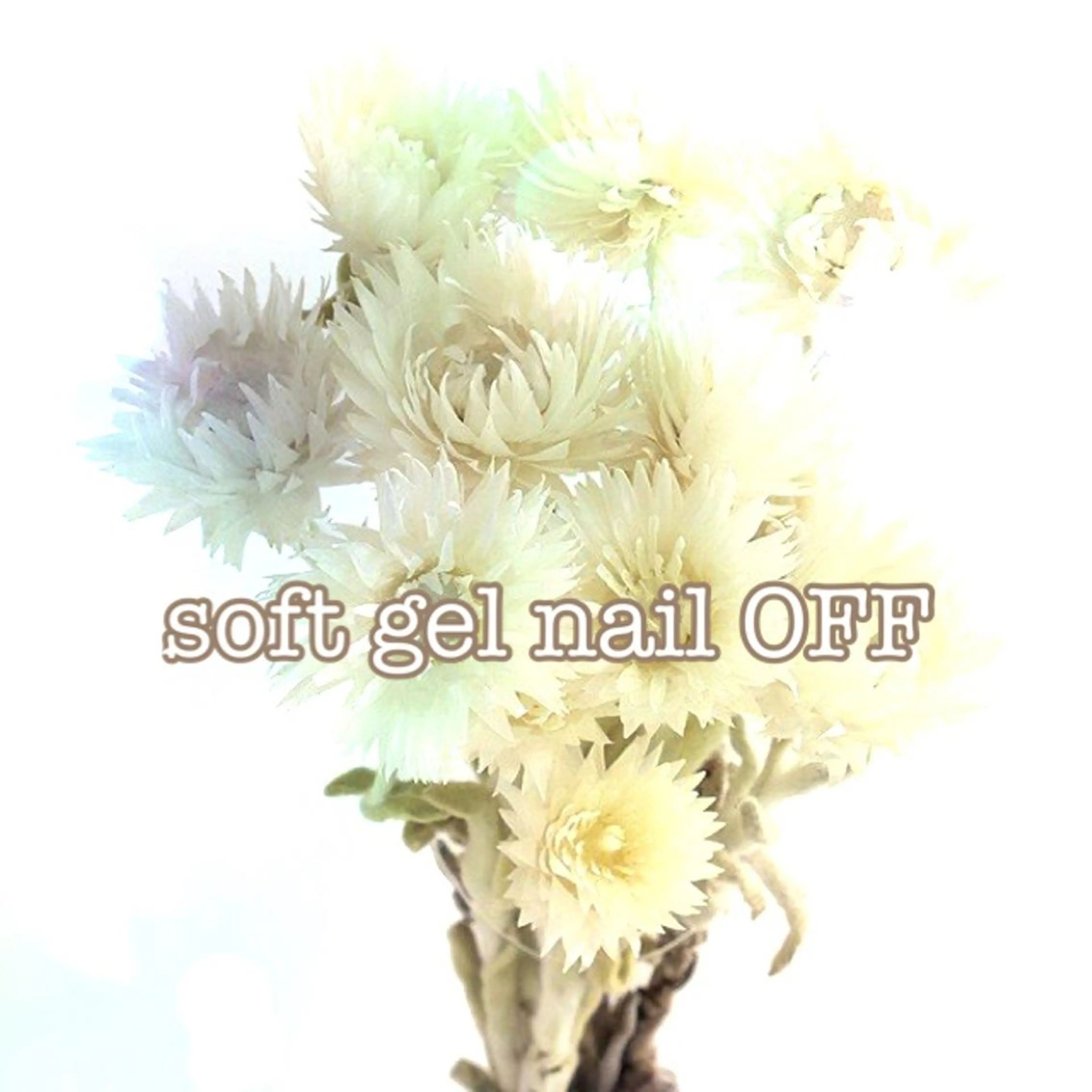 ネイル マルサンカクシカク所属・○△□ 守口市のネイルデザイン