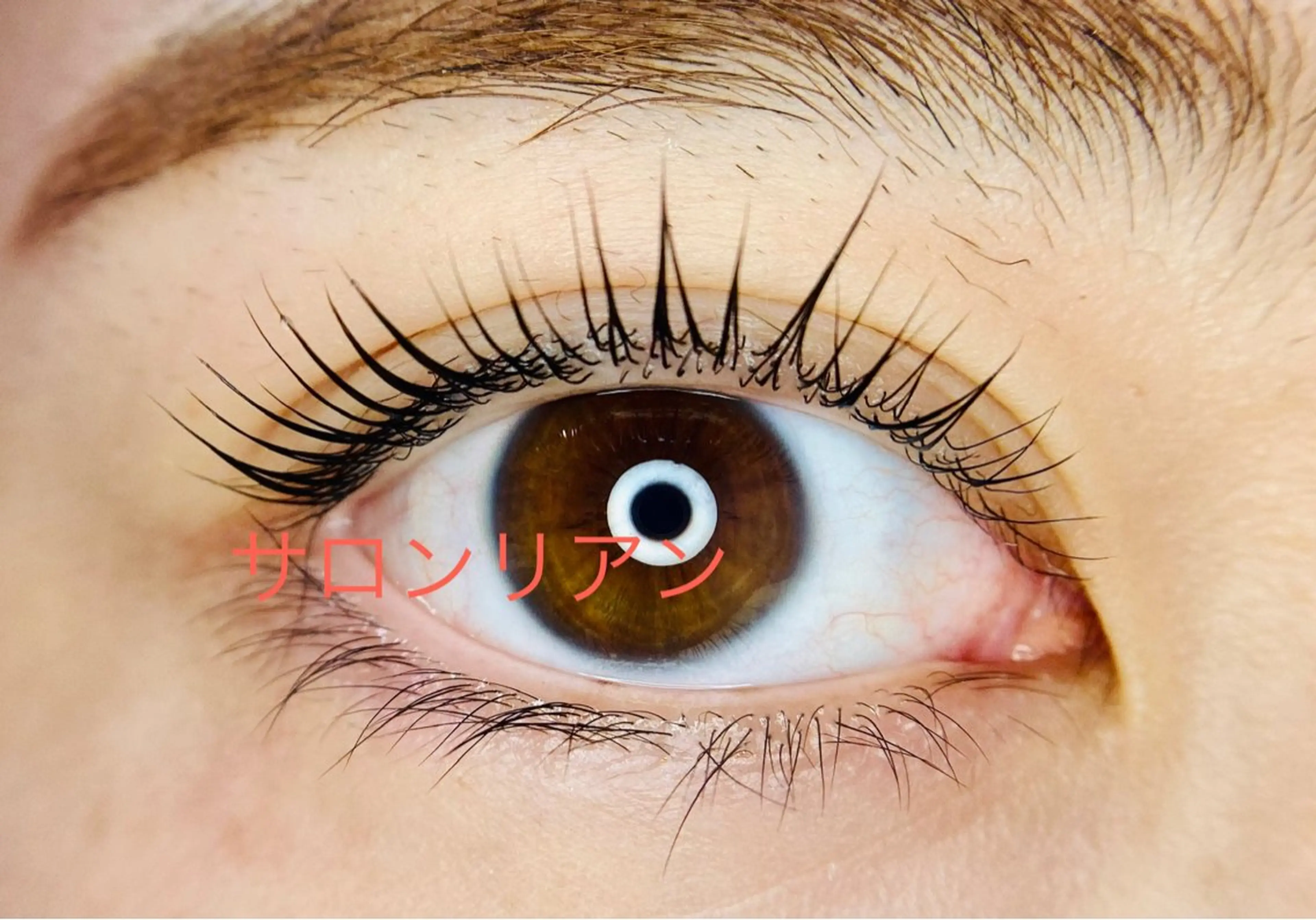 マツエク・マツパ サロンリアン 池袋のマツエク・マツパデザイン