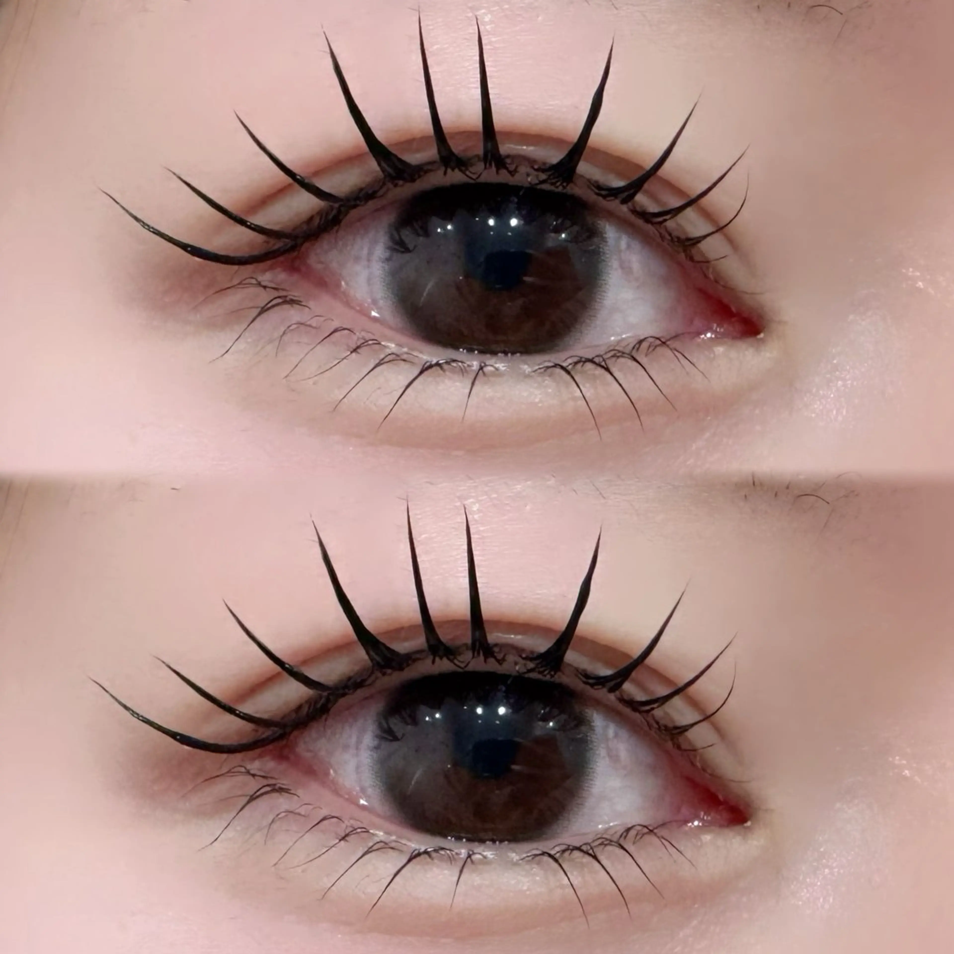 🩷上下まつ毛パーマ🩷（アイシャンプー、トリートメント付き）の写真