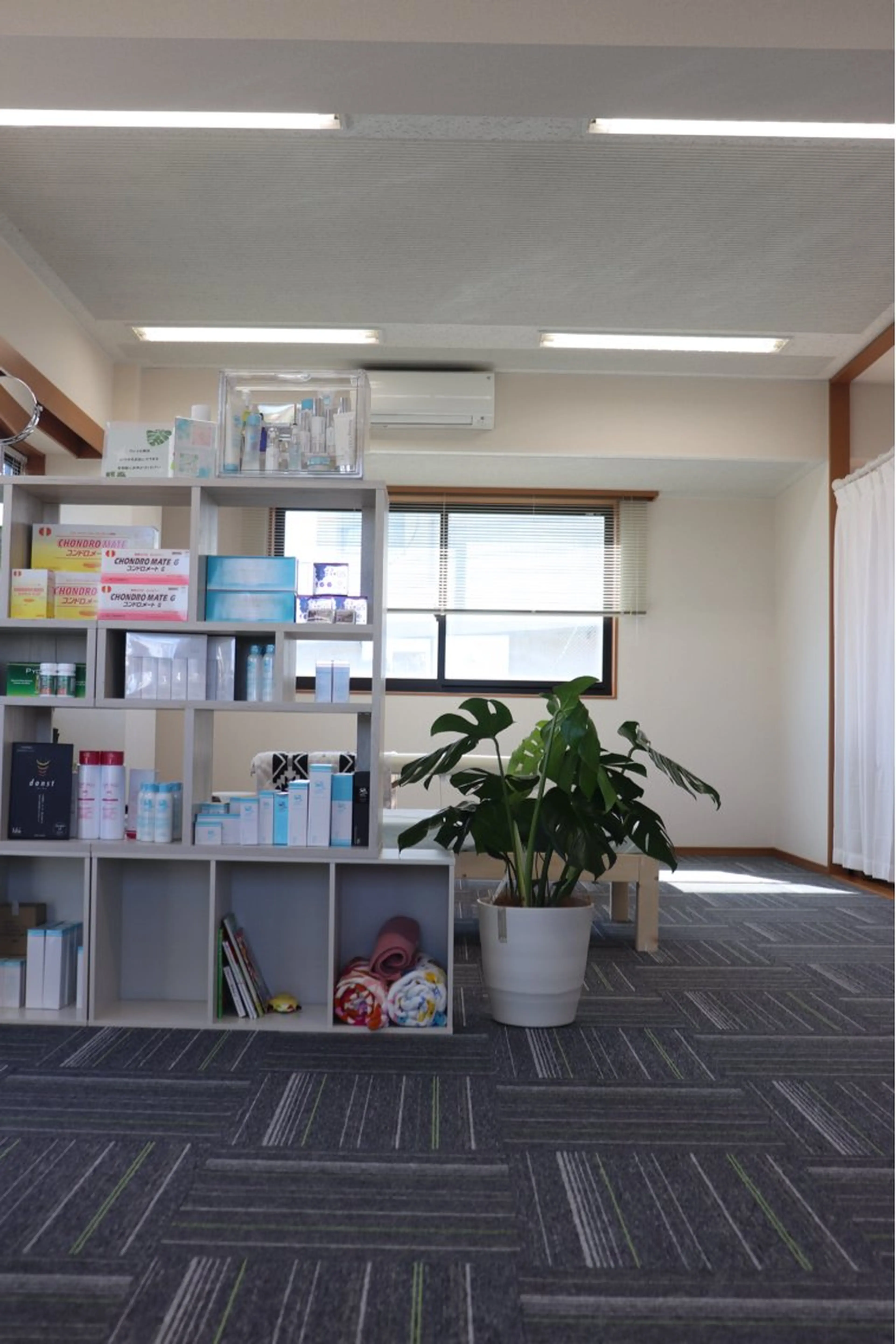 カイロプラクティック Salute所属・IIDA YASUHAのエステ・リラクイメージ