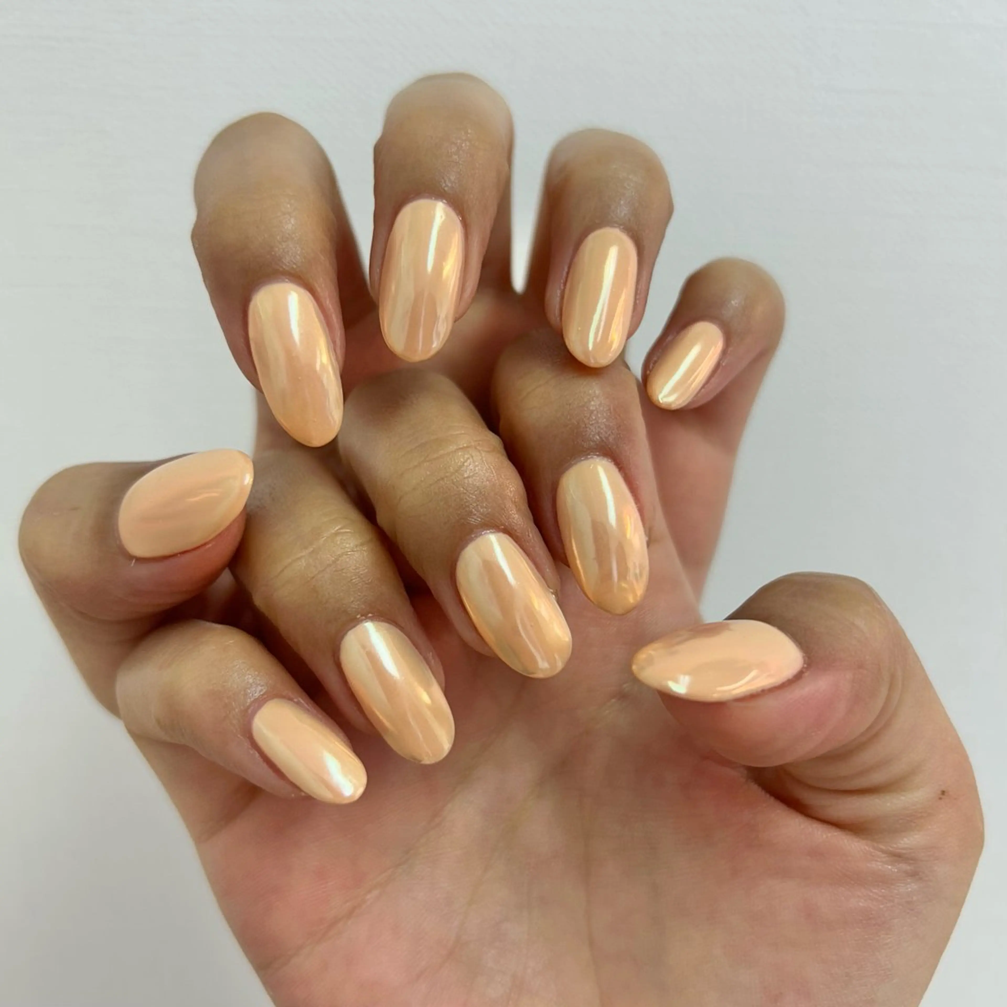 ネイル Bianca YOKOTANI🌻のネイルデザイン