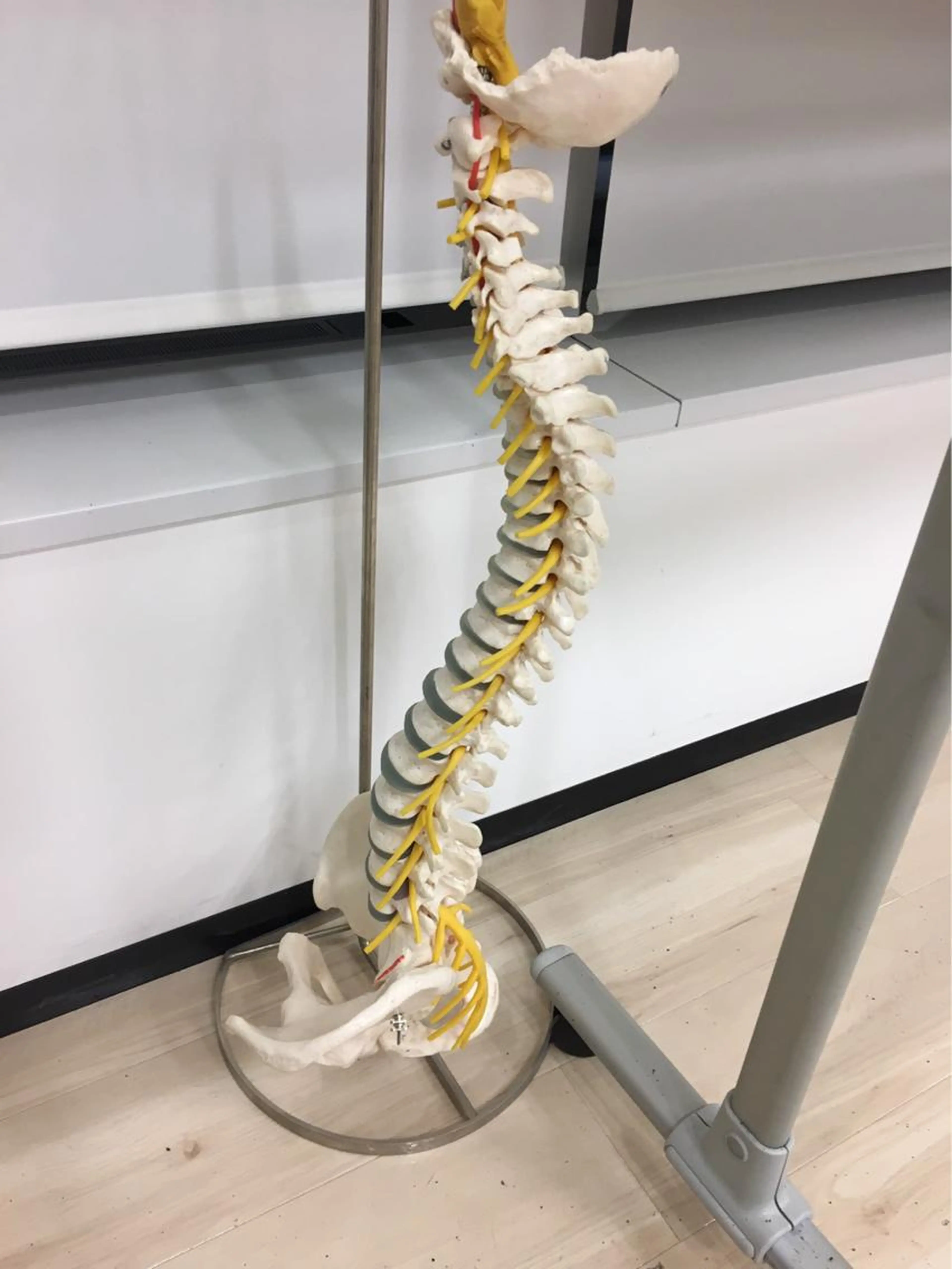 今流行りのAI診断🌟やりませんか？ＡＩの検査と通常の検査で歪みをとりましょう^ ^の写真