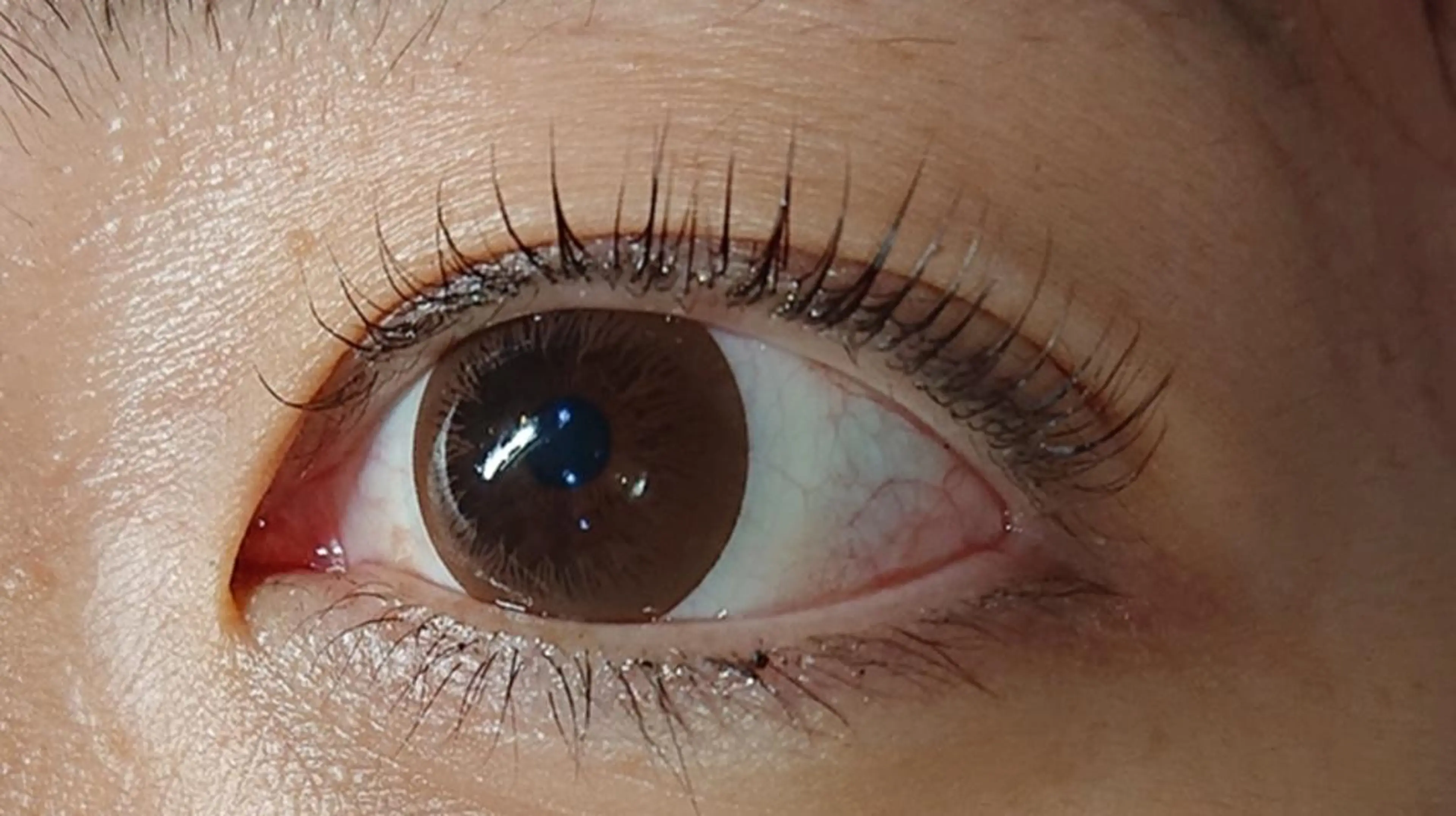 マツエク・マツパ マツパ 石黒 きょうかのエステ・リラクイメージ