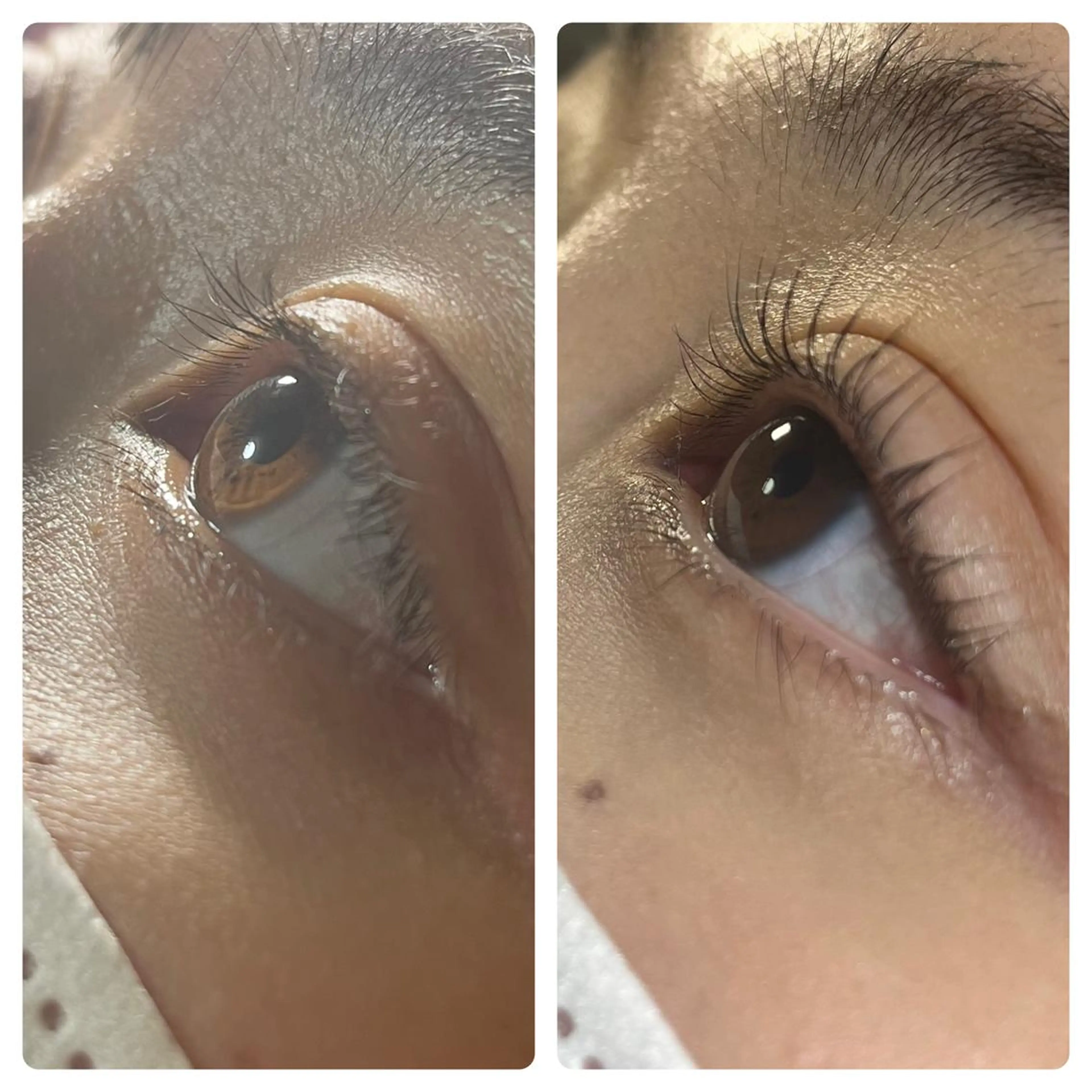 マツエク・マツパ TReiS所属・TReiS eyelashのマツエク・マツパデザイン