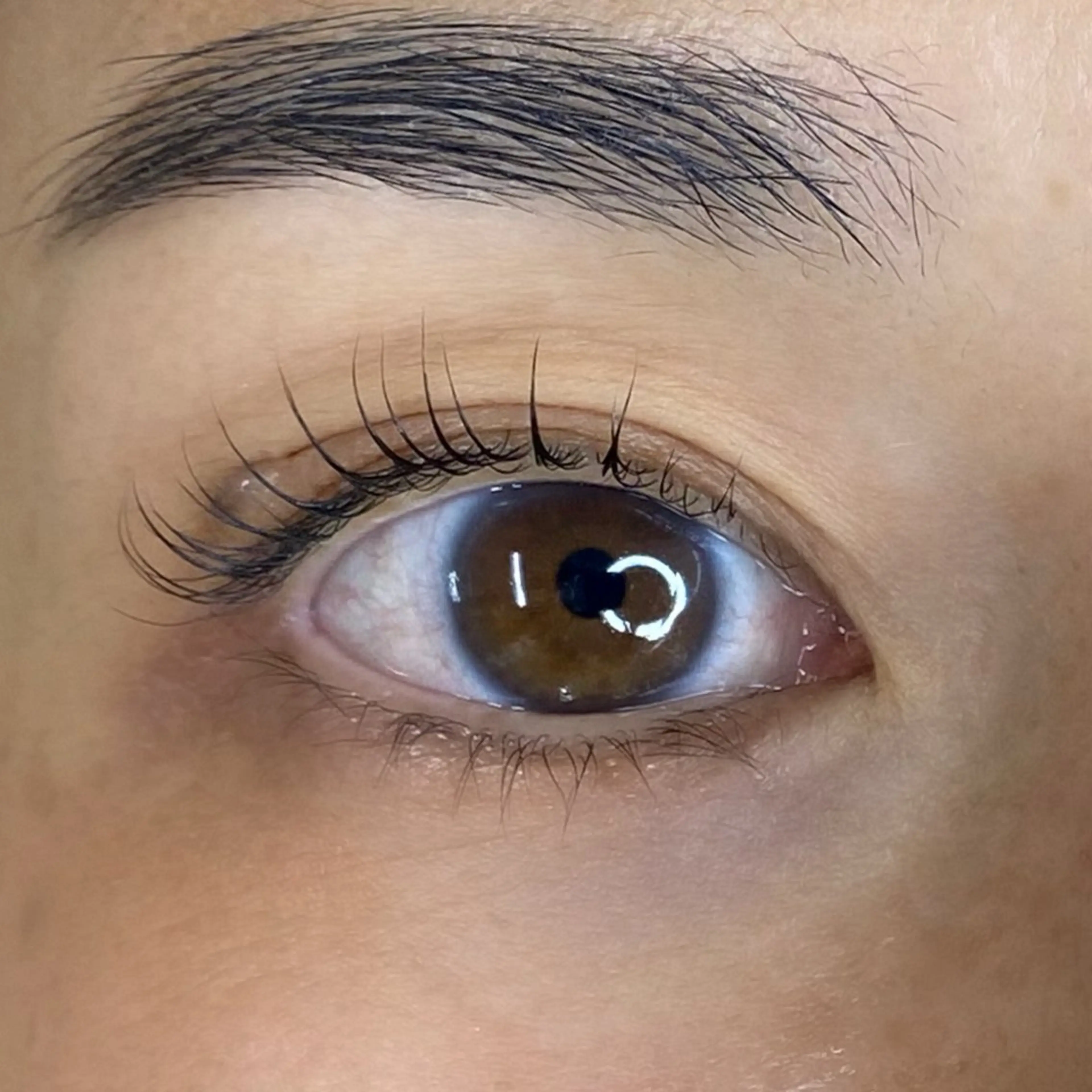 マツエク・マツパ まつげパーマ 一重×まつ毛パーマ マツパ U too e's MANAE🌼の眉毛・アイブロウイメージ