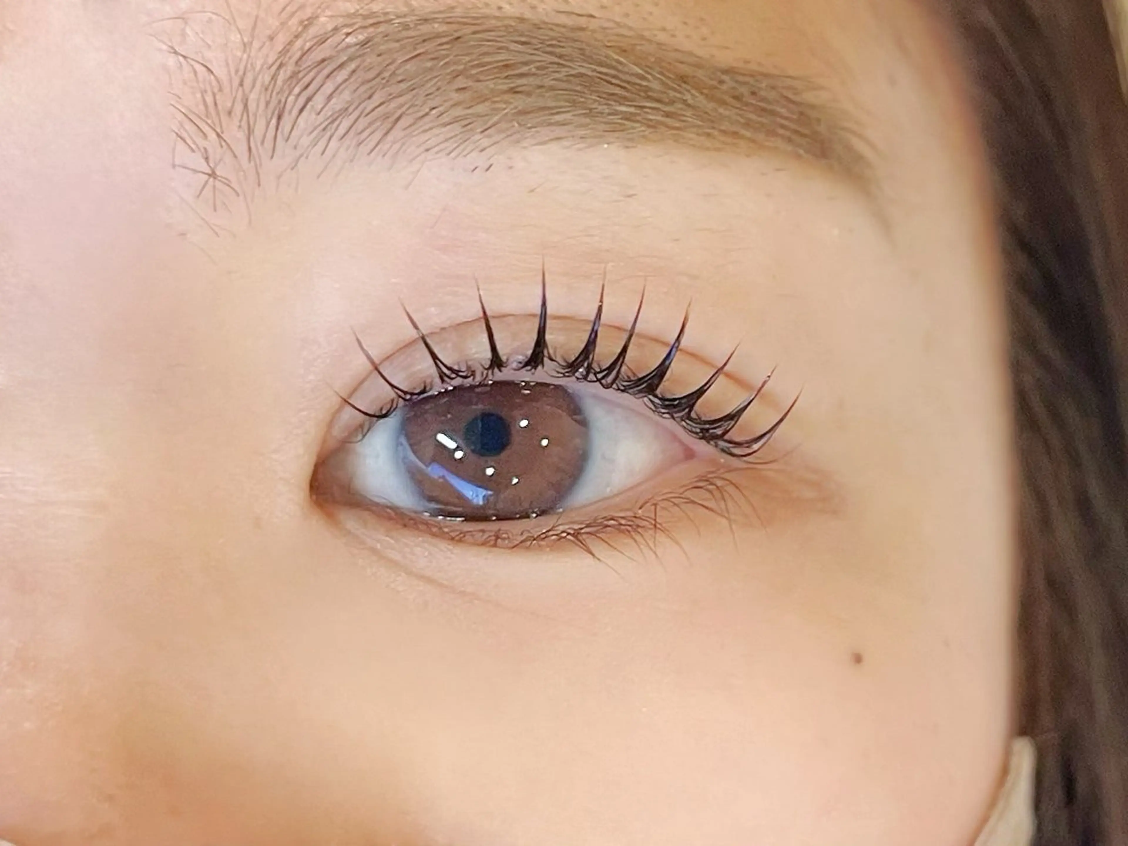 マツエク・マツパ パリジェンヌラッシュリフト マツパ sofa 🛋⸝⸝ urushibaraのマツエク・マツパデザイン