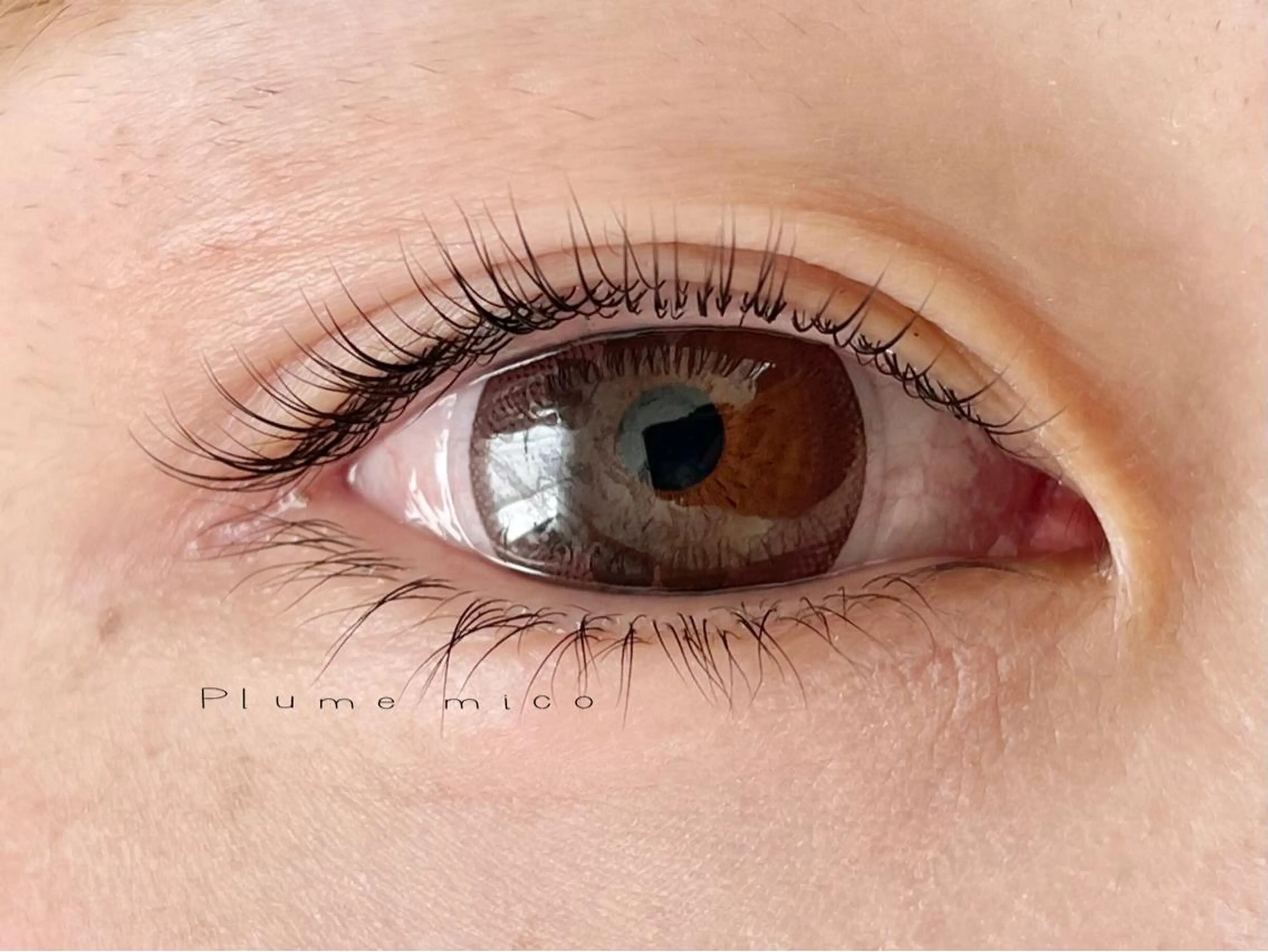 マツエク・マツパ マツパ Plume micoのマツエク・マツパデザイン