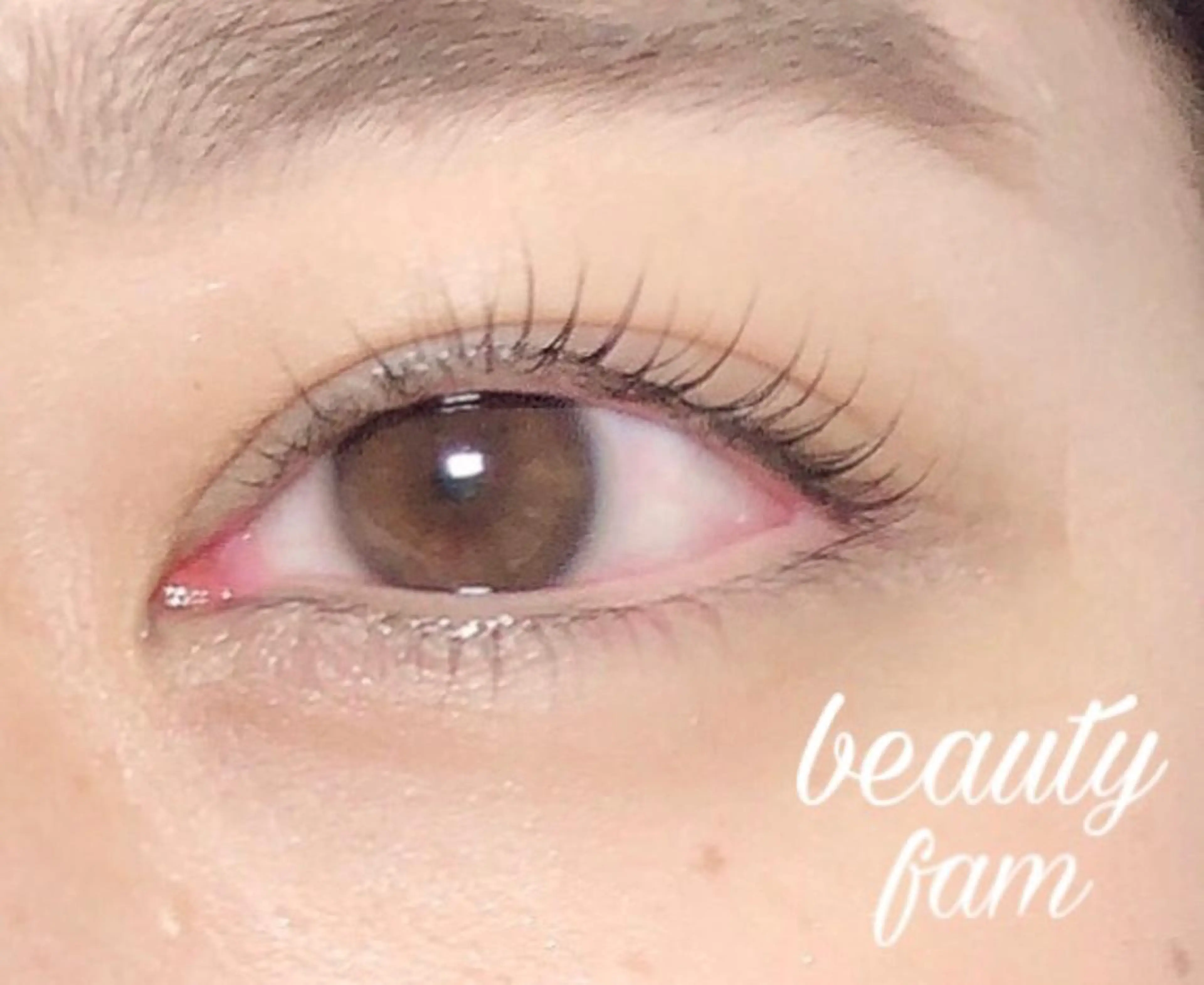 まつ毛カール上下。¥8800→¥7700の写真