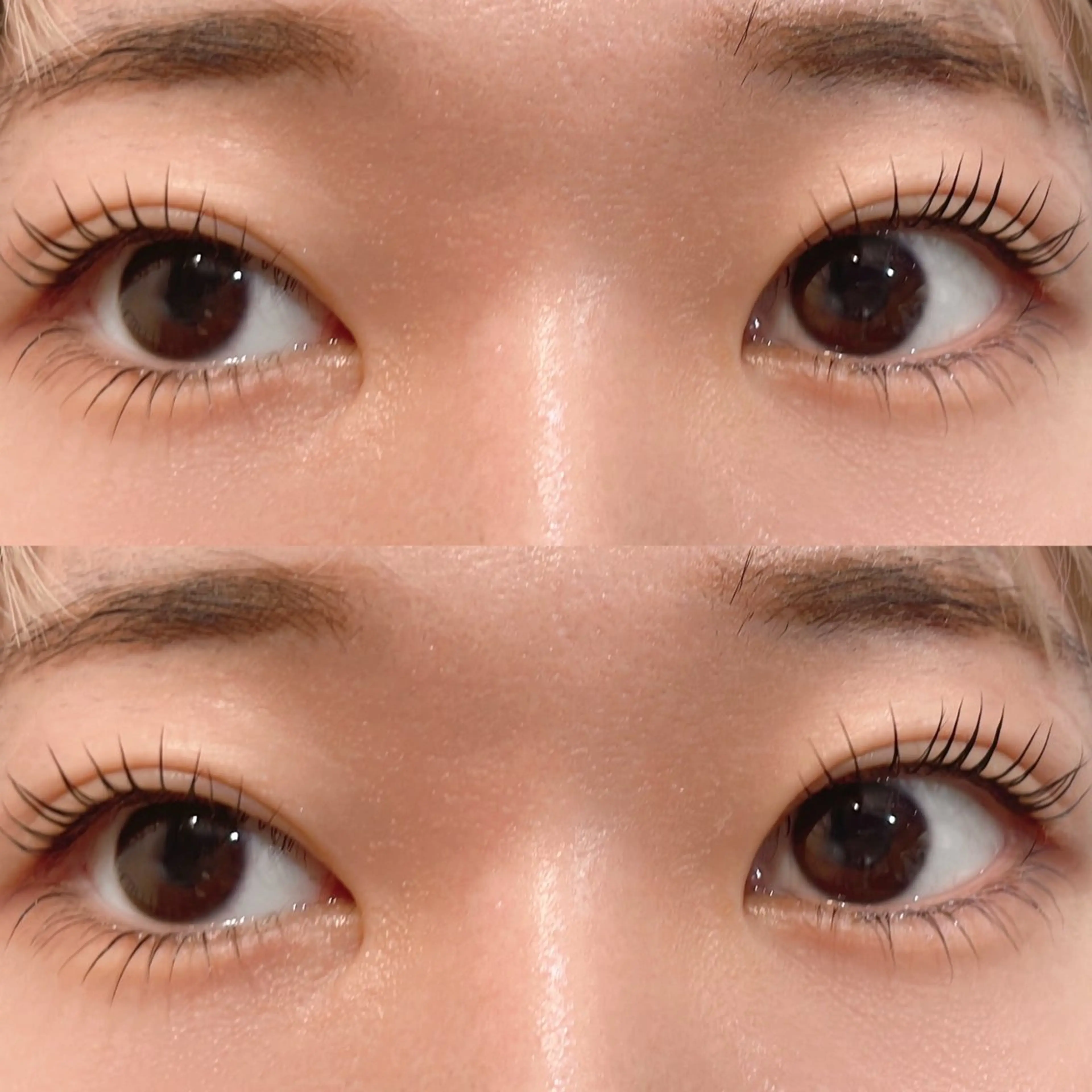 マツエク・マツパ パリジェンヌラッシュリフト 下まつげエクステ Butterfly武蔵小杉所属・アイリスト ✩𝖈𝖔𝖈𝖔✩の眉毛・アイブロウイメージ