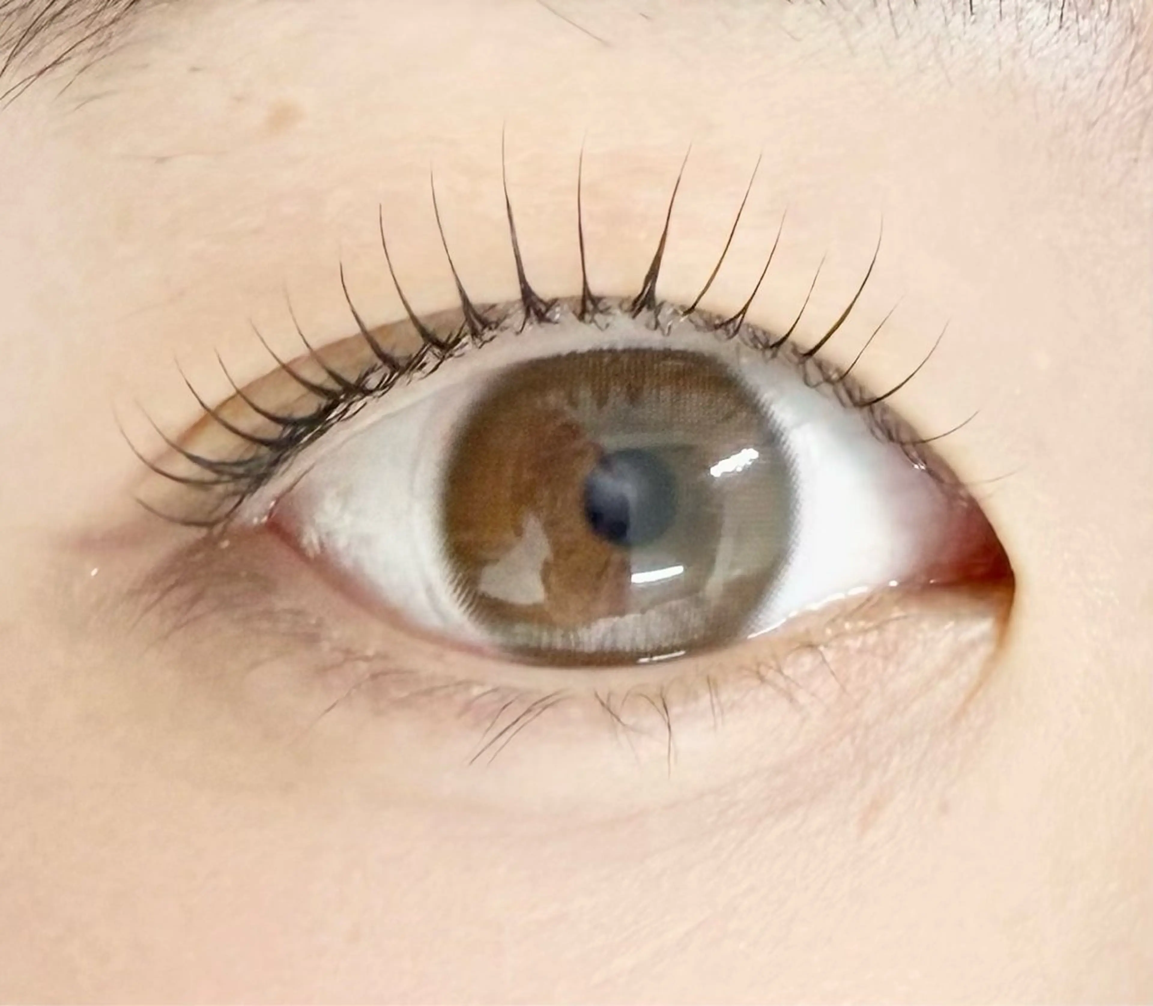 🇰🇷韓ドルパーマ💫コーティング付オフ500円​〜​の写真