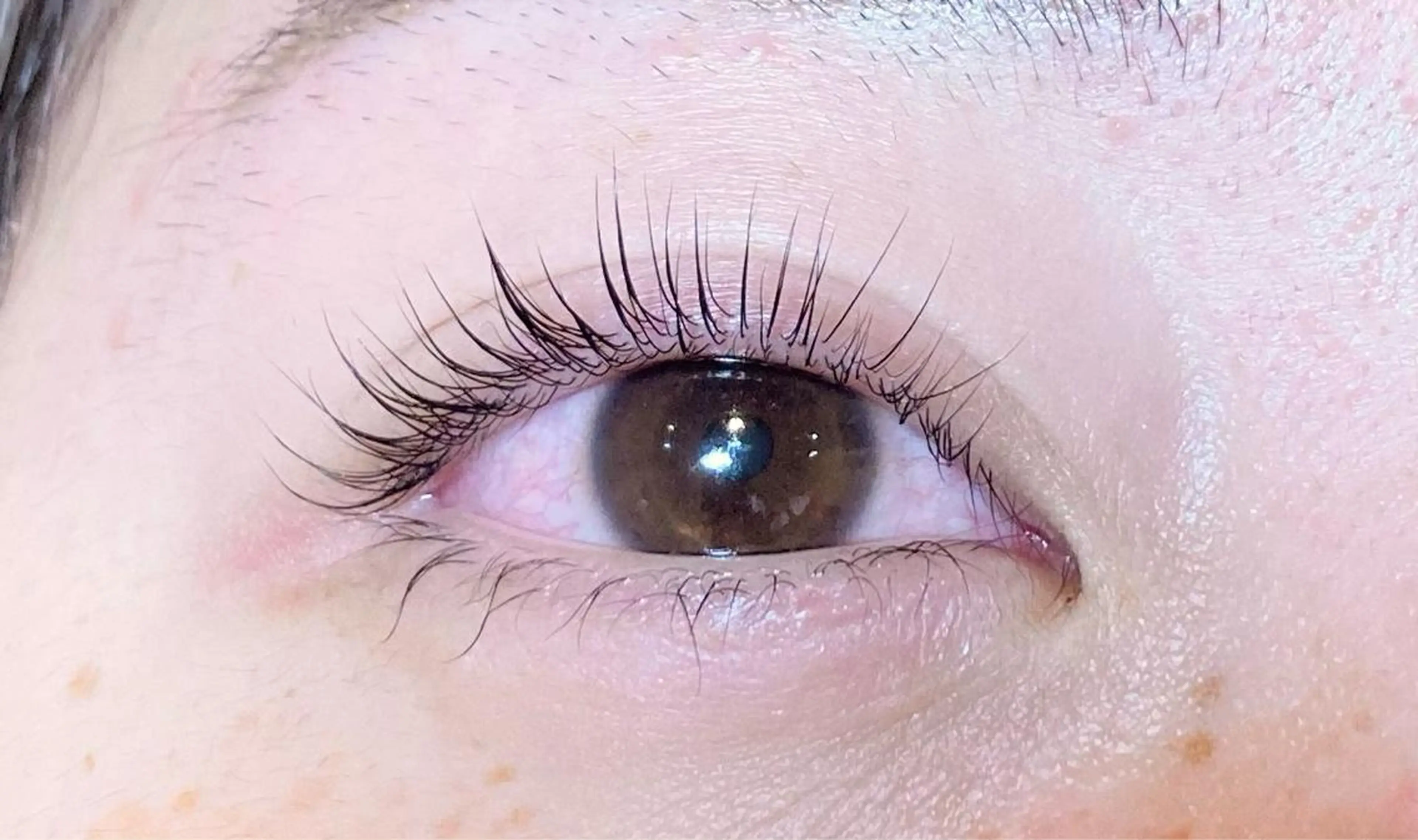 キッズ マツエク・マツパ パリジェンヌラッシュリフト sola: neolive出沼のマツエク・マツパデザイン