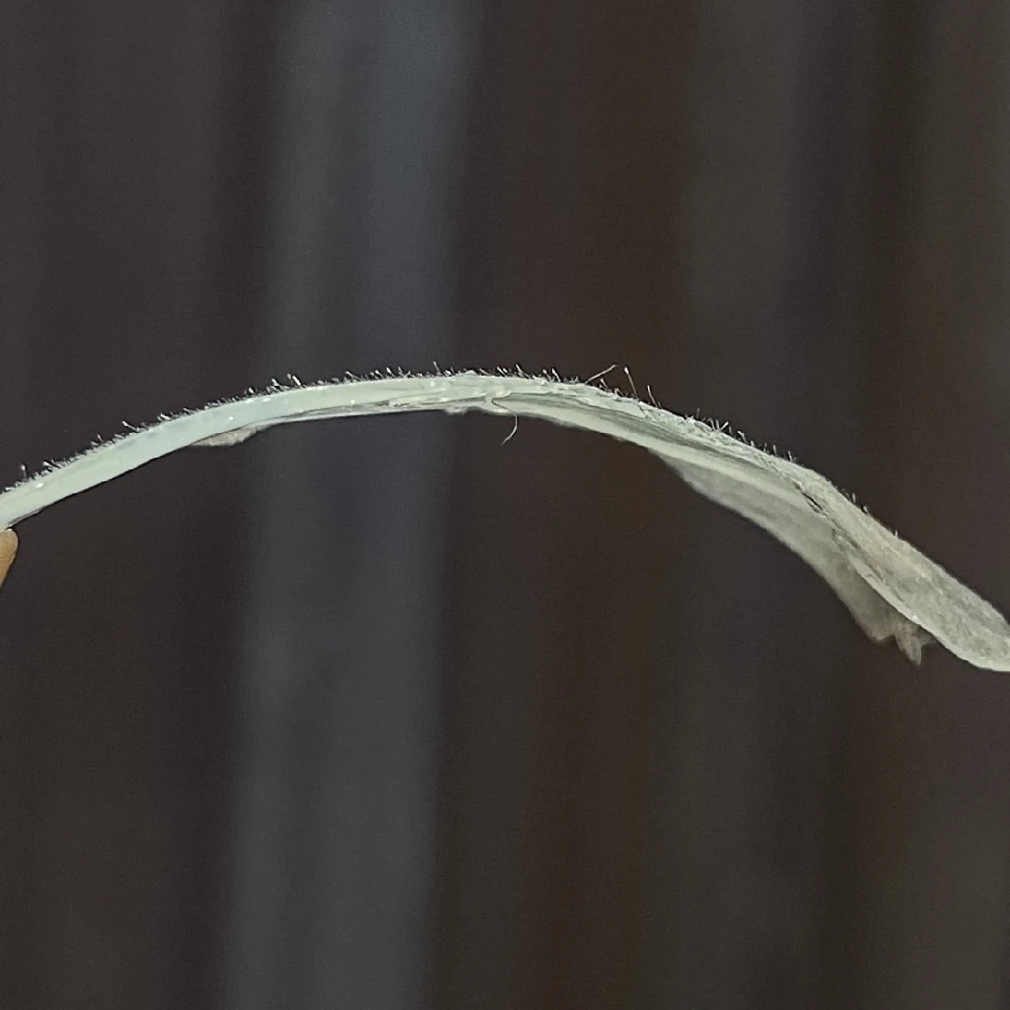 ワックスのお家サロン Rimmelのエステ・リラクイメージ