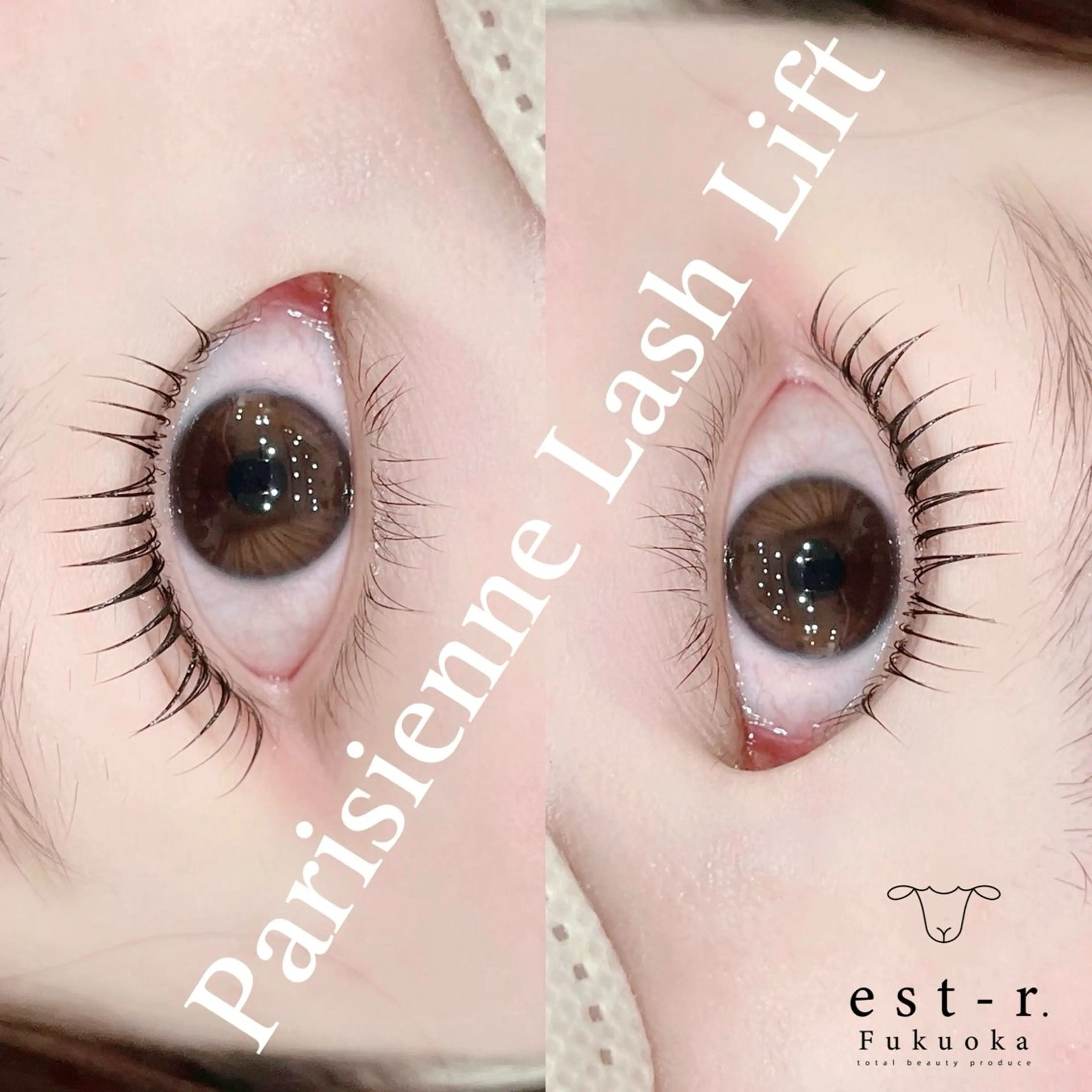 マツエク・マツパ 束感まつ毛 韓国風マツエク パリジェンヌラッシュリフト 一重×まつ毛パーマ ワンホンマツエク マツパ Riho/博多/ まつげパーマ/LEDのマツエク・マツパデザイン