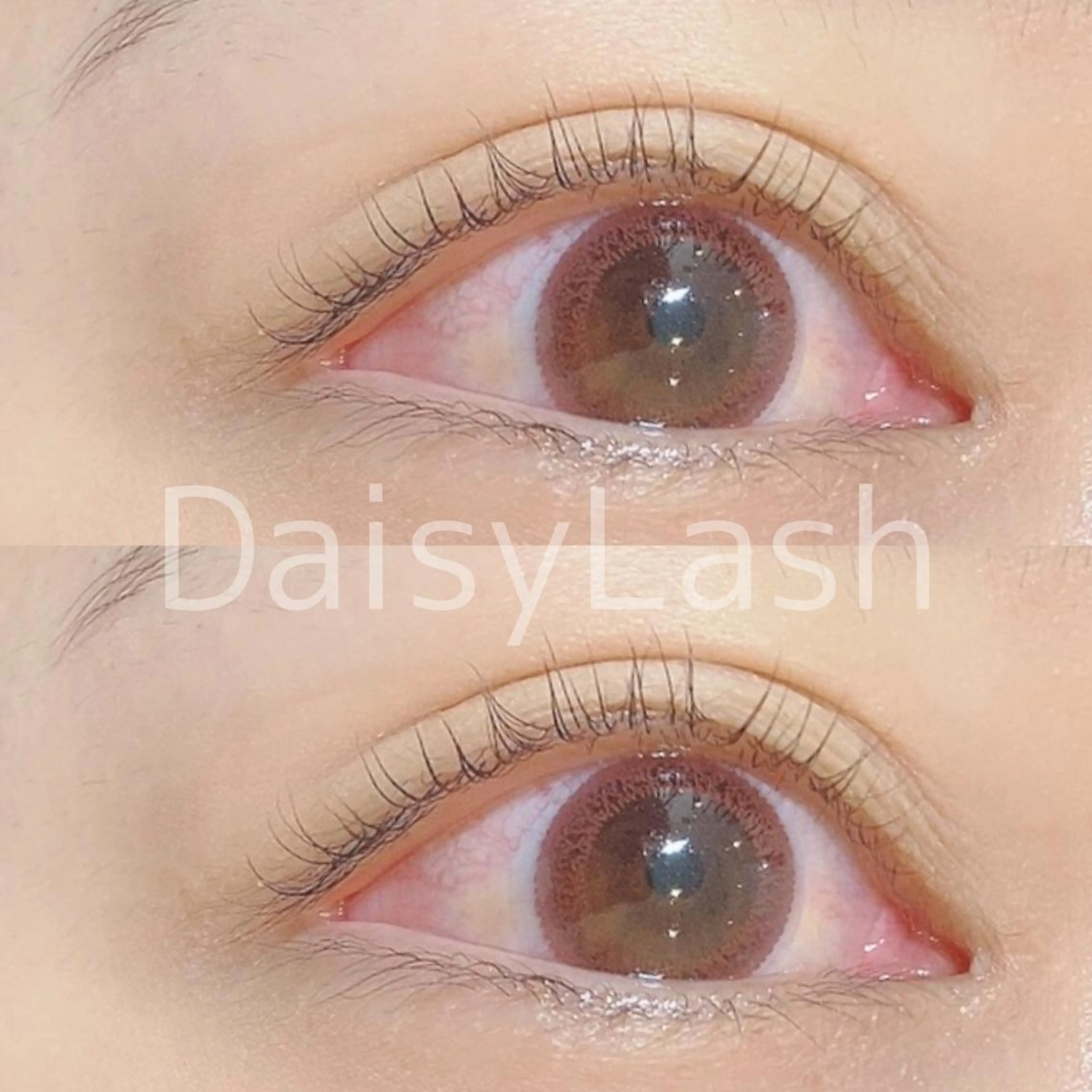 マツエク・マツパ DaisyLash 京橋店のマツエク・マツパデザイン