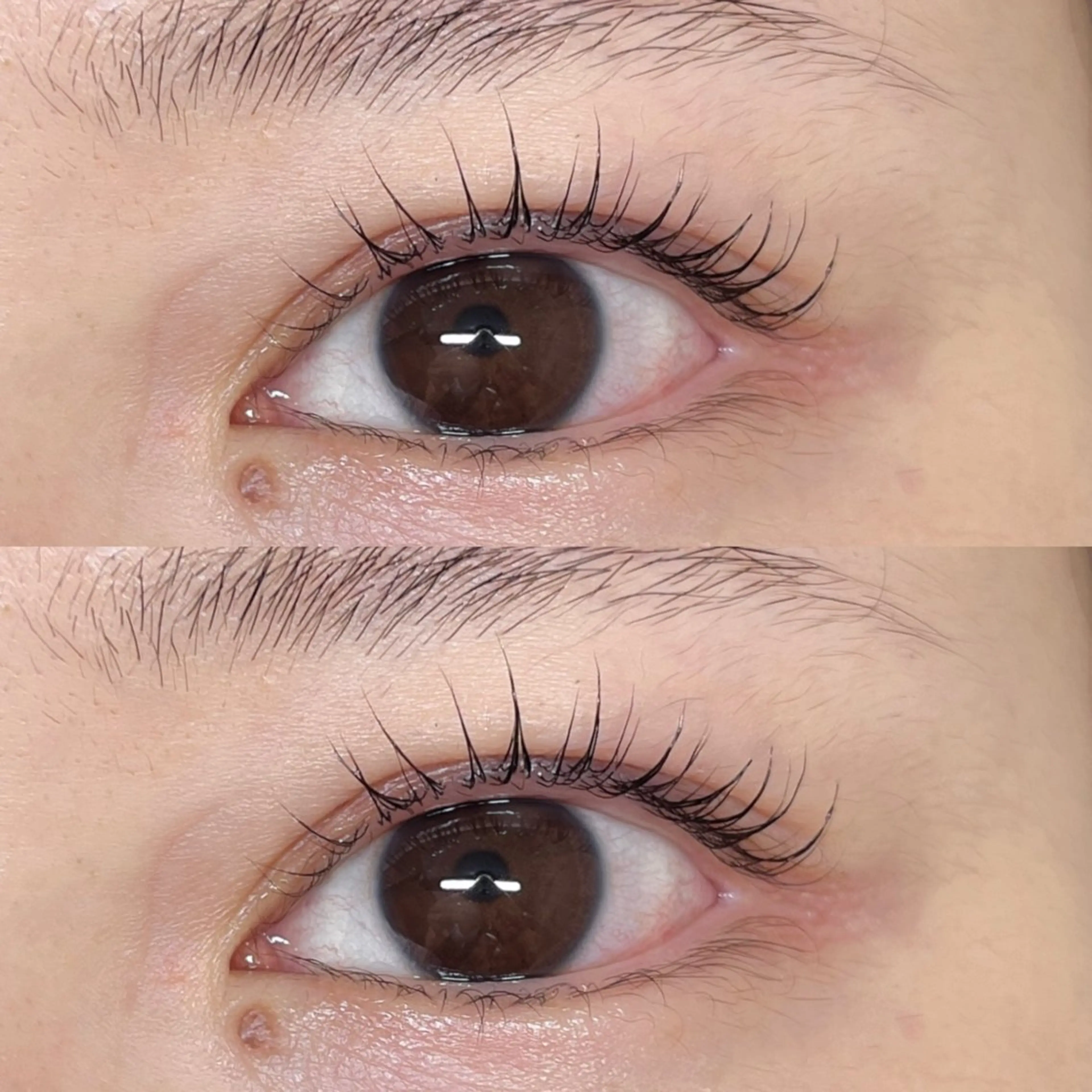 マツエク・マツパ マツパ Cutil . eyelash 🍊のマツエク・マツパデザイン