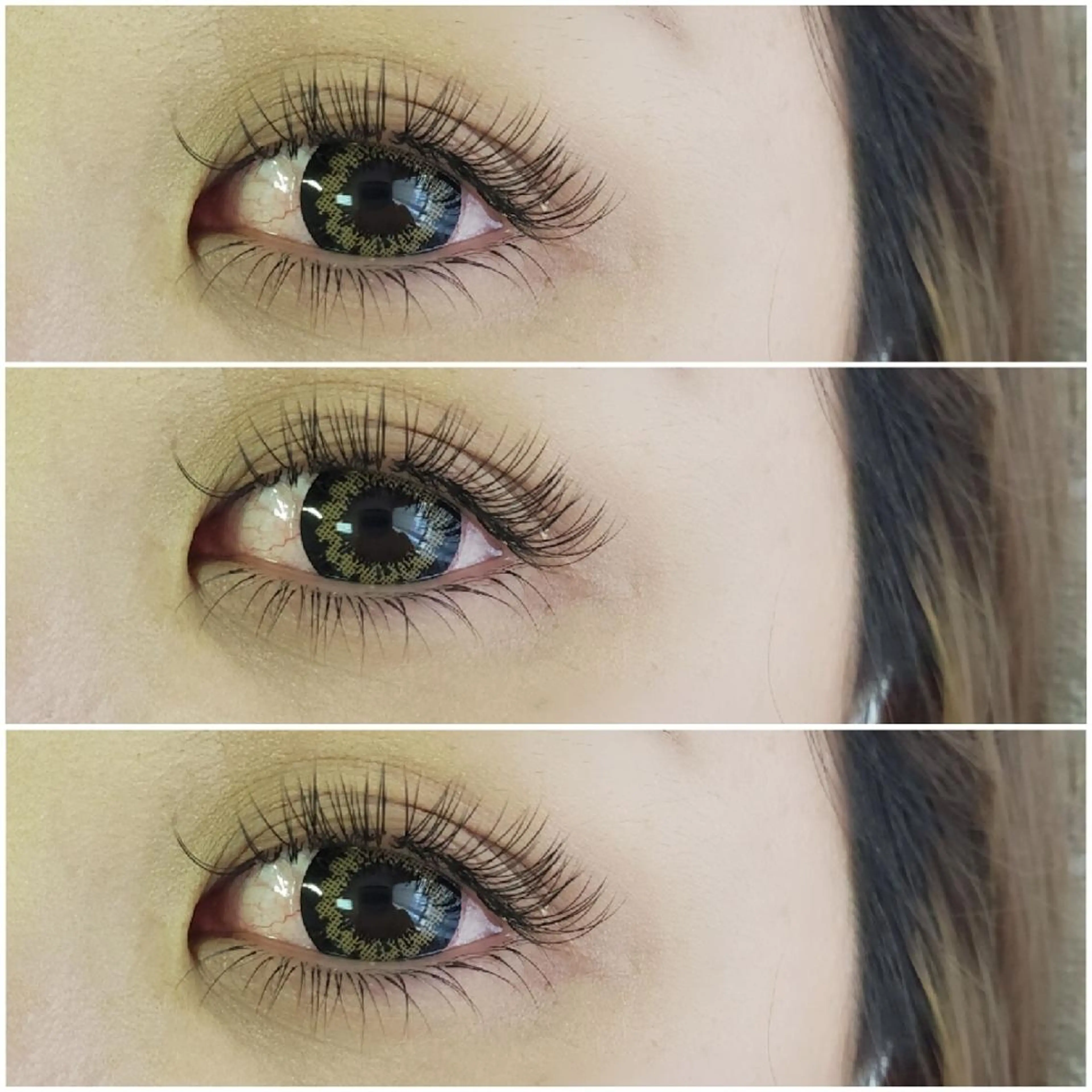 フラットマットラッシュ.上下付け放題の写真