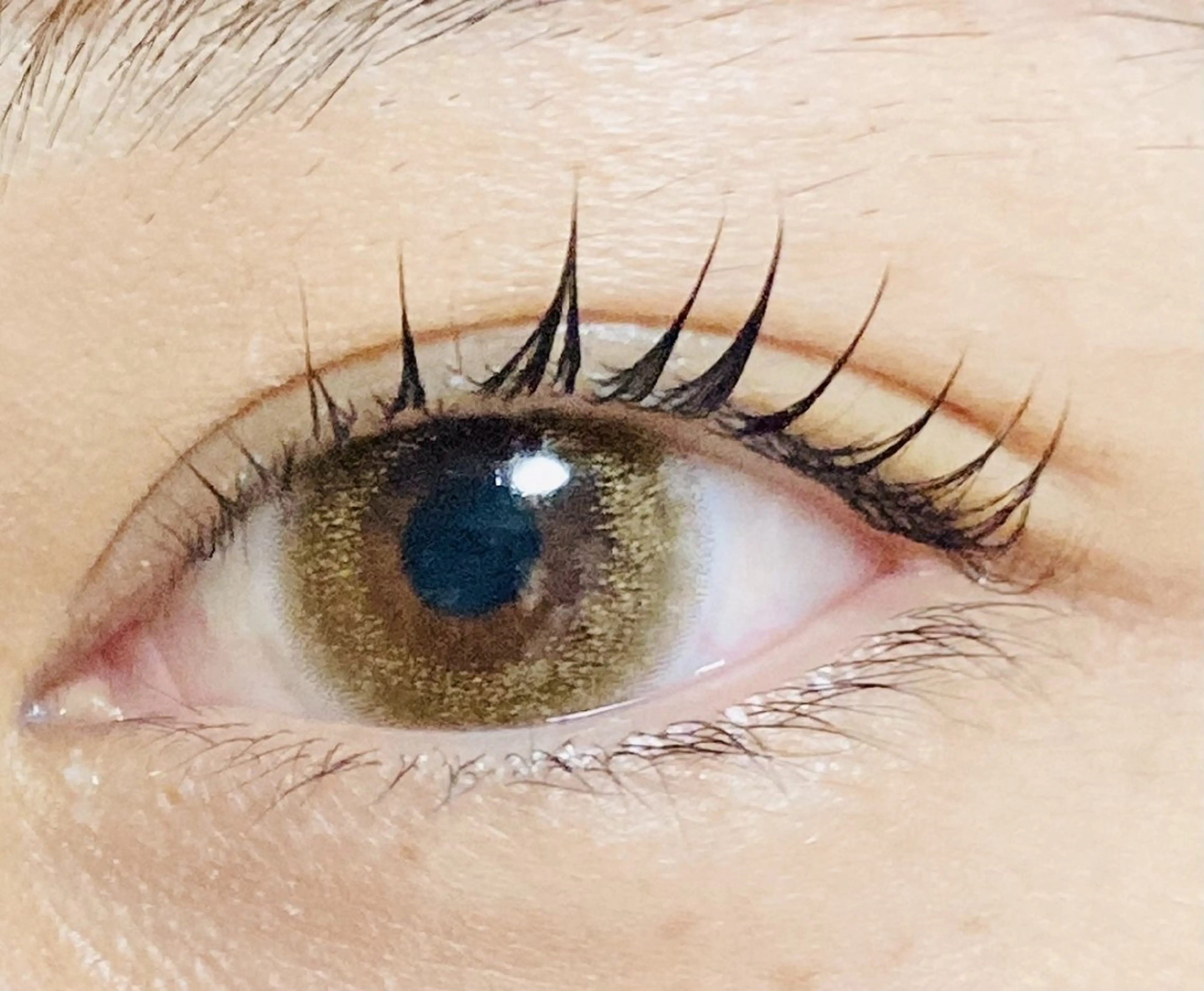 当日予約受付中ラッシュリフト（立ち上げ仕上げ）　アイシャンプー＆しっかり保湿トリートメント＆コーティング付の写真