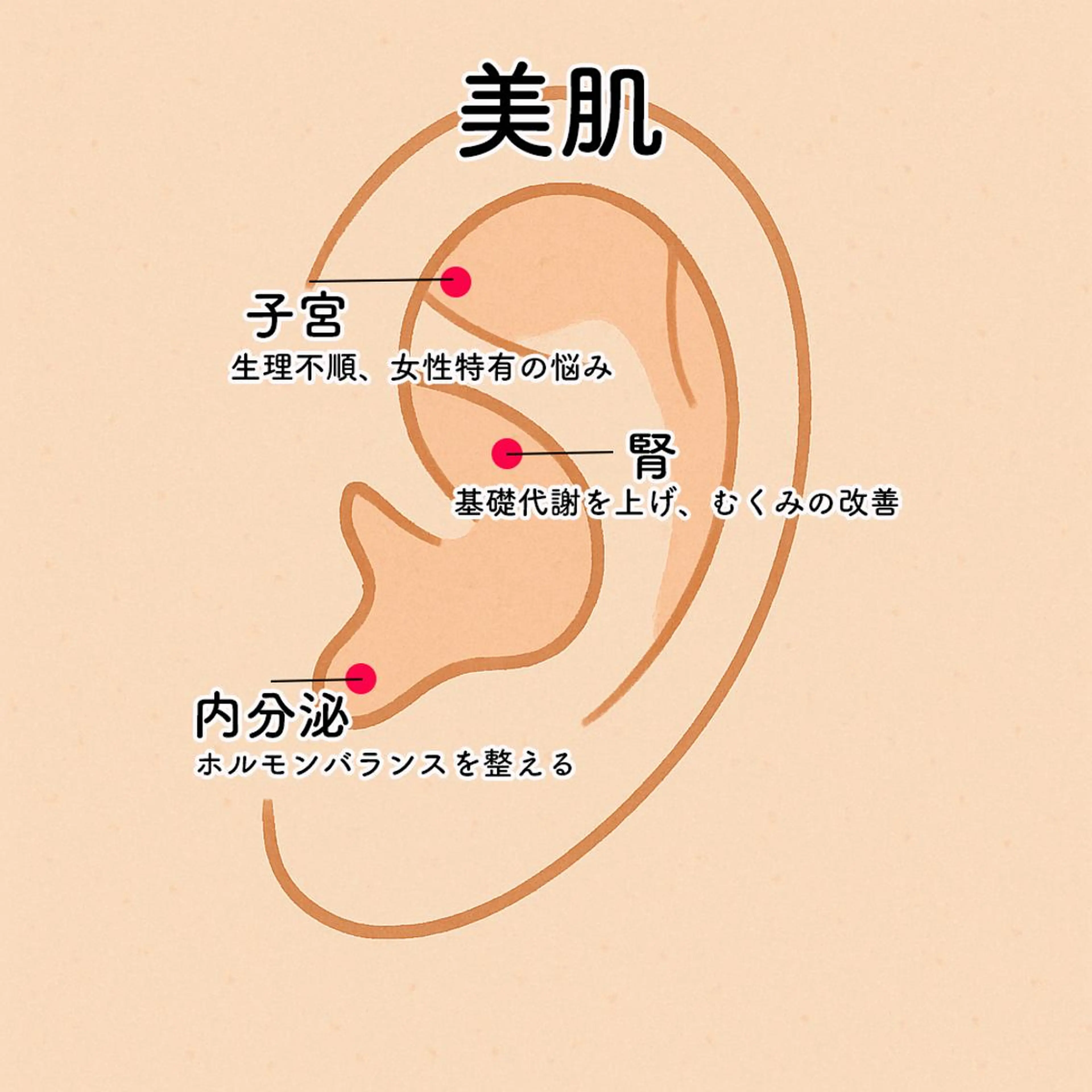 Eyedor まつパ／眉毛専門店のマツエク・マツパデザイン