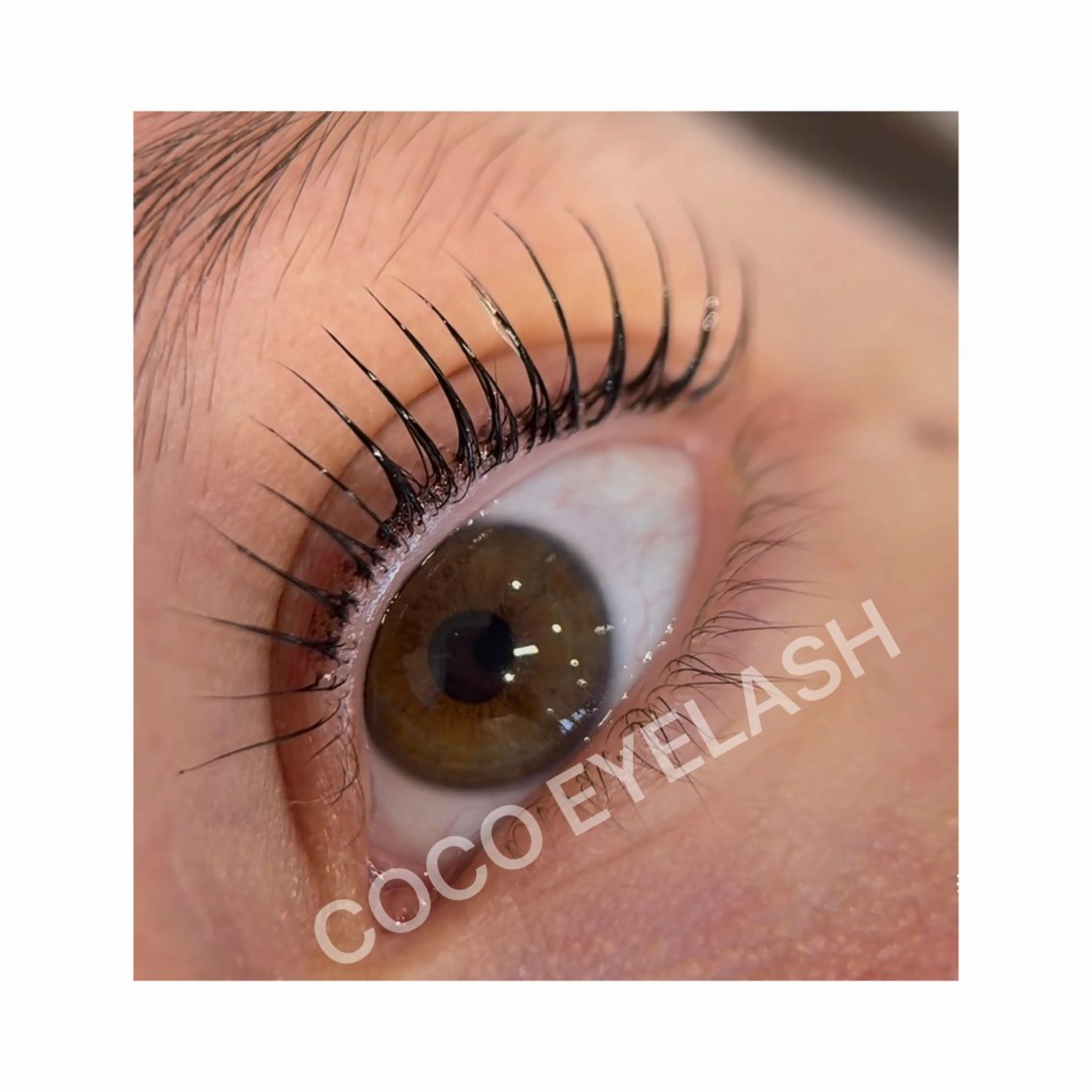 マツエク・マツパ パリジェンヌラッシュリフト マツパ COCO EYELASHアキのマツエク・マツパデザイン