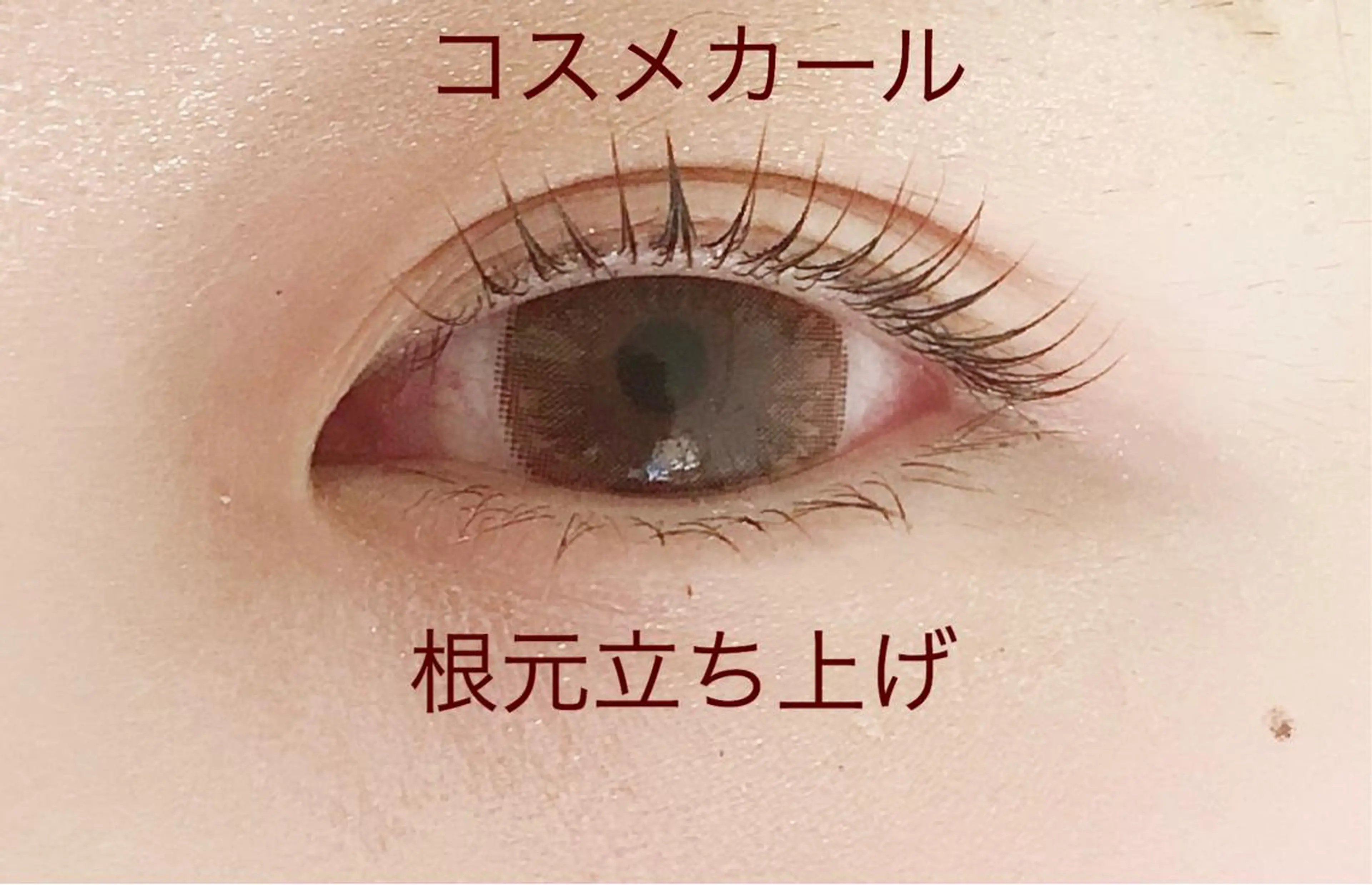 マツエク・マツパ Cia (シア)所属・AYAKA ICHIHARAの眉毛・アイブロウイメージ