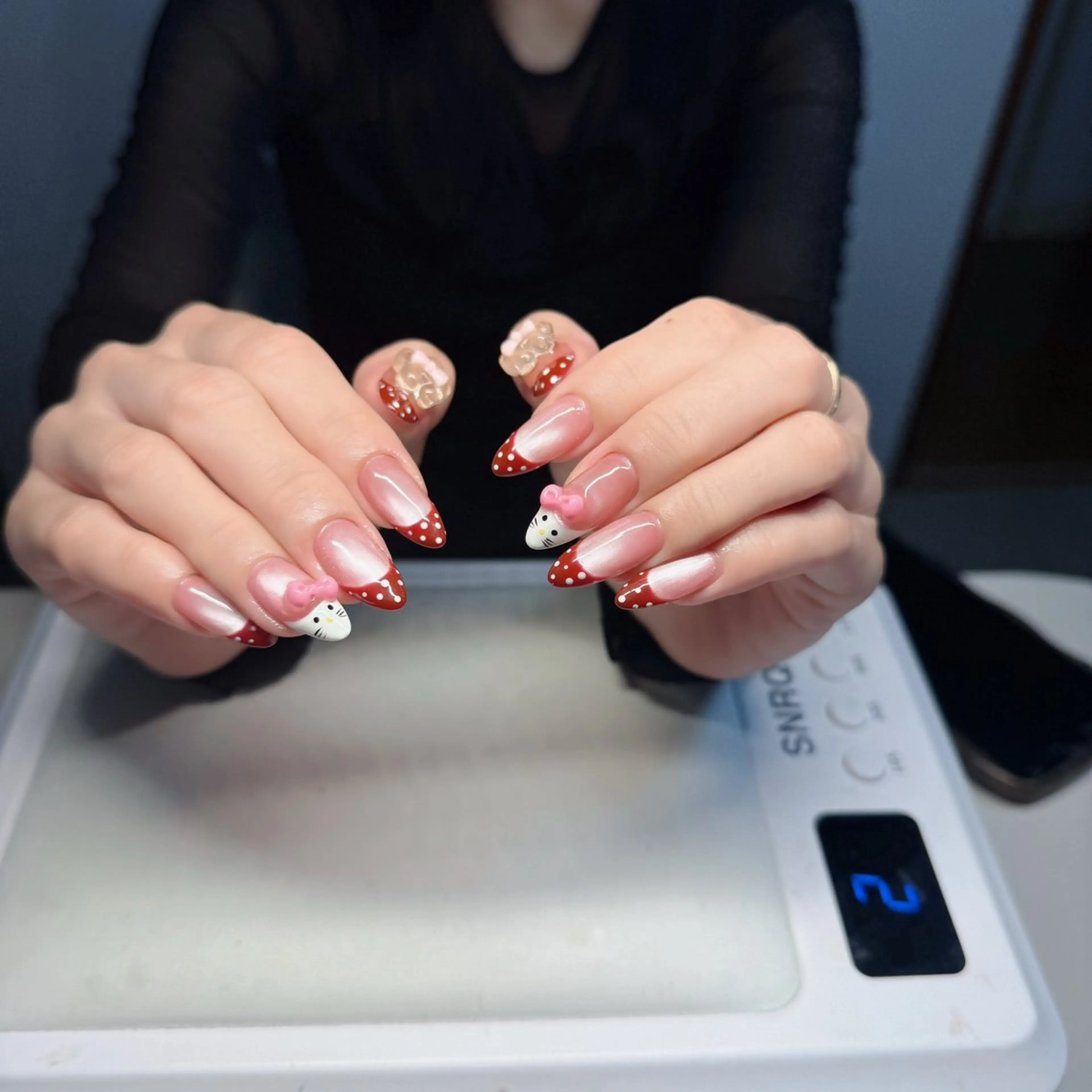 ネイル チークネイル フレンチネイル グラデーション 韓国ネイル マグネットネイル Hana nail所属・Hana Nailのネイルデザイン