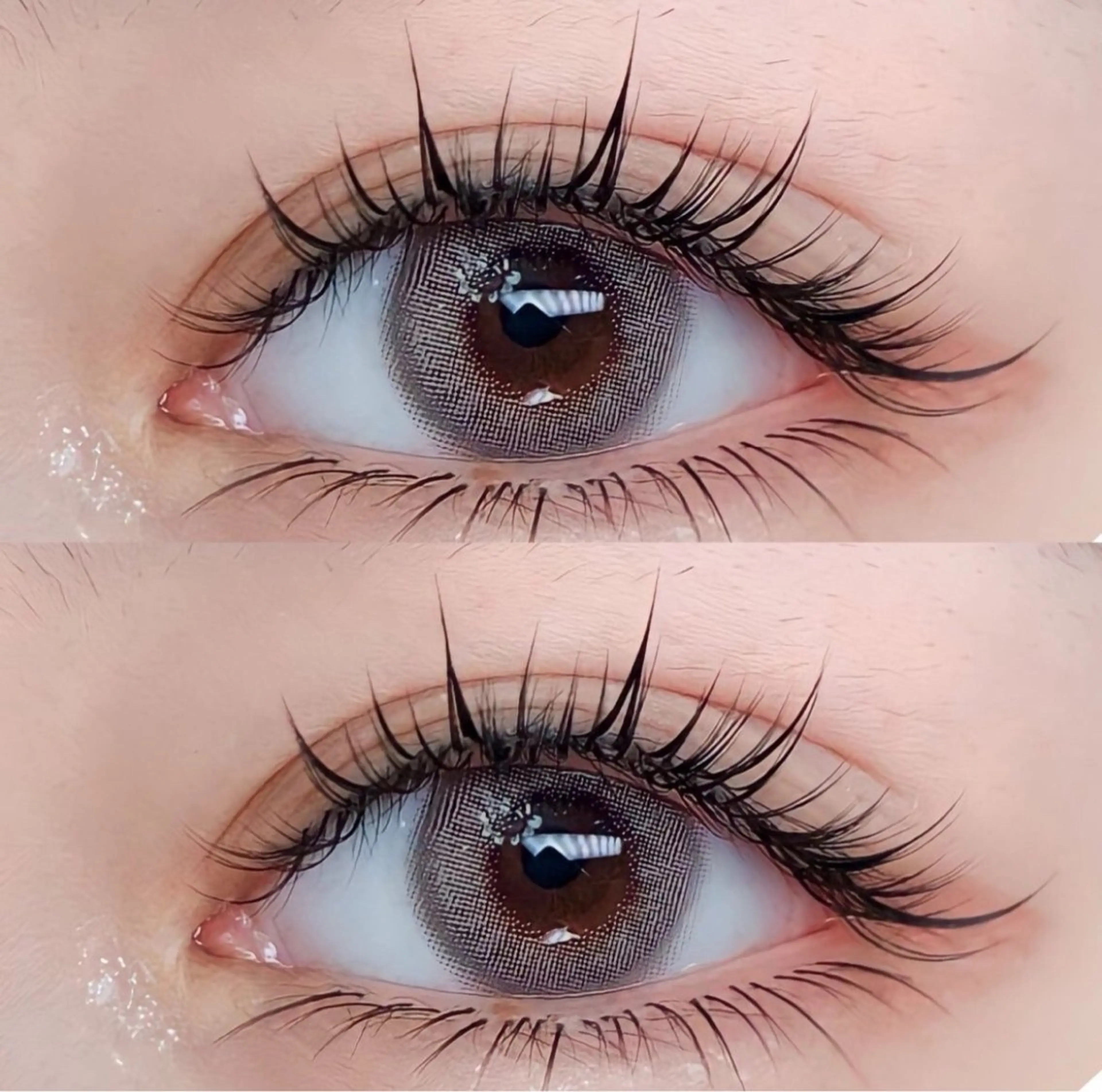 🍁【新規限定】🍁フラットラッシュ140本まで付け放題+LED+アイシャンプー¥6600の写真