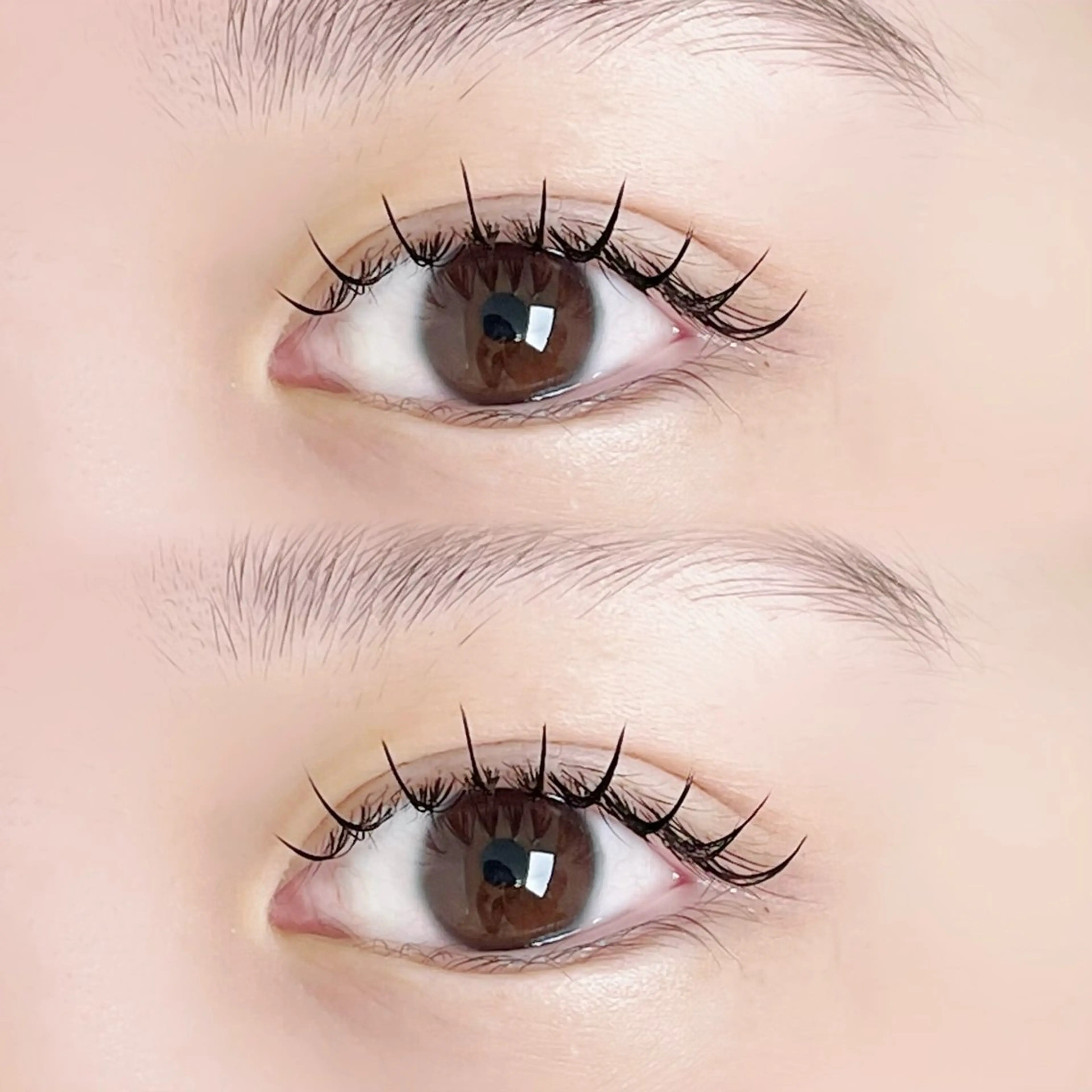 エクステ120本 💫通常料金7000円のところ↓の写真