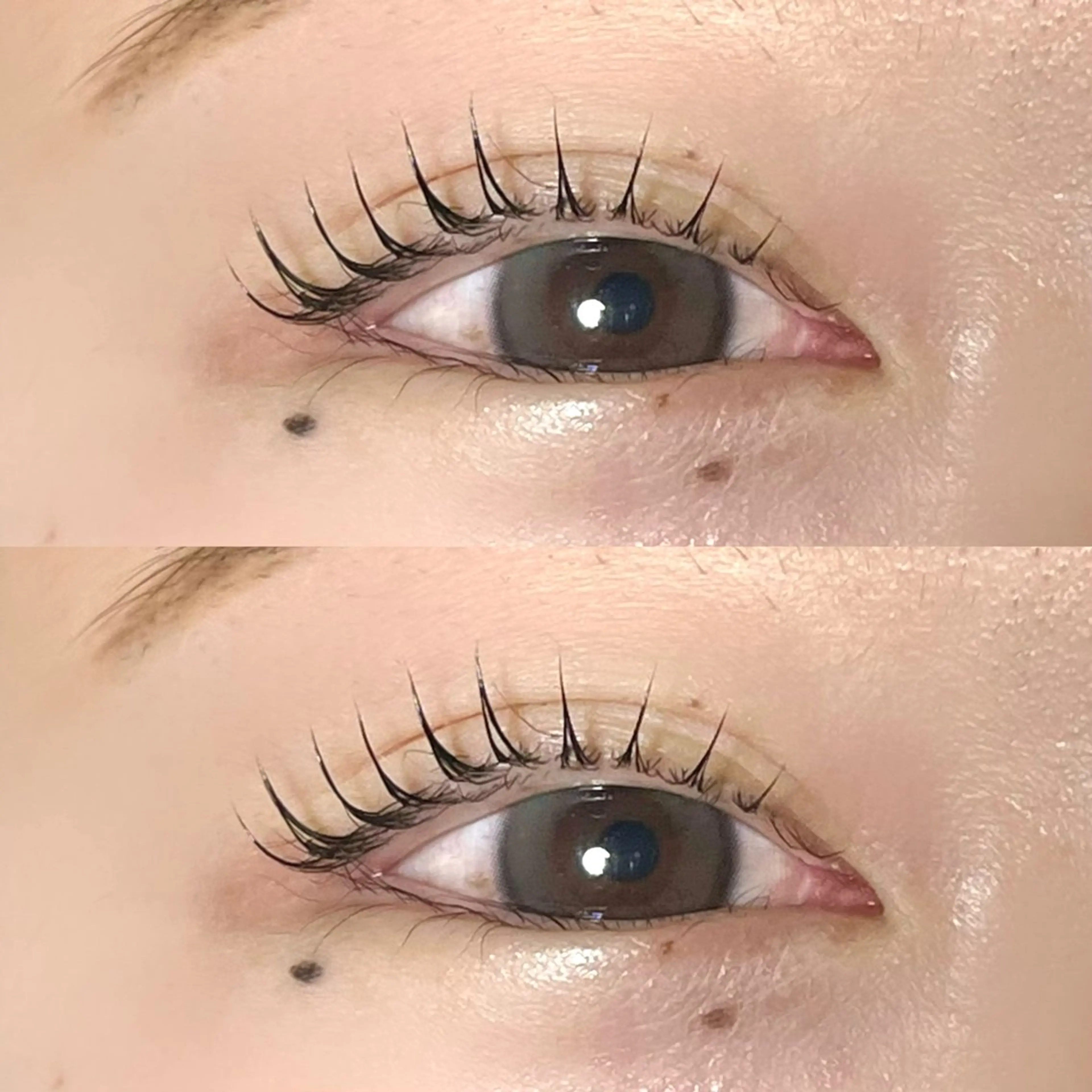 【💎新規💎】⭐︎韓国風束間パリジェンヌ⭐︎の写真