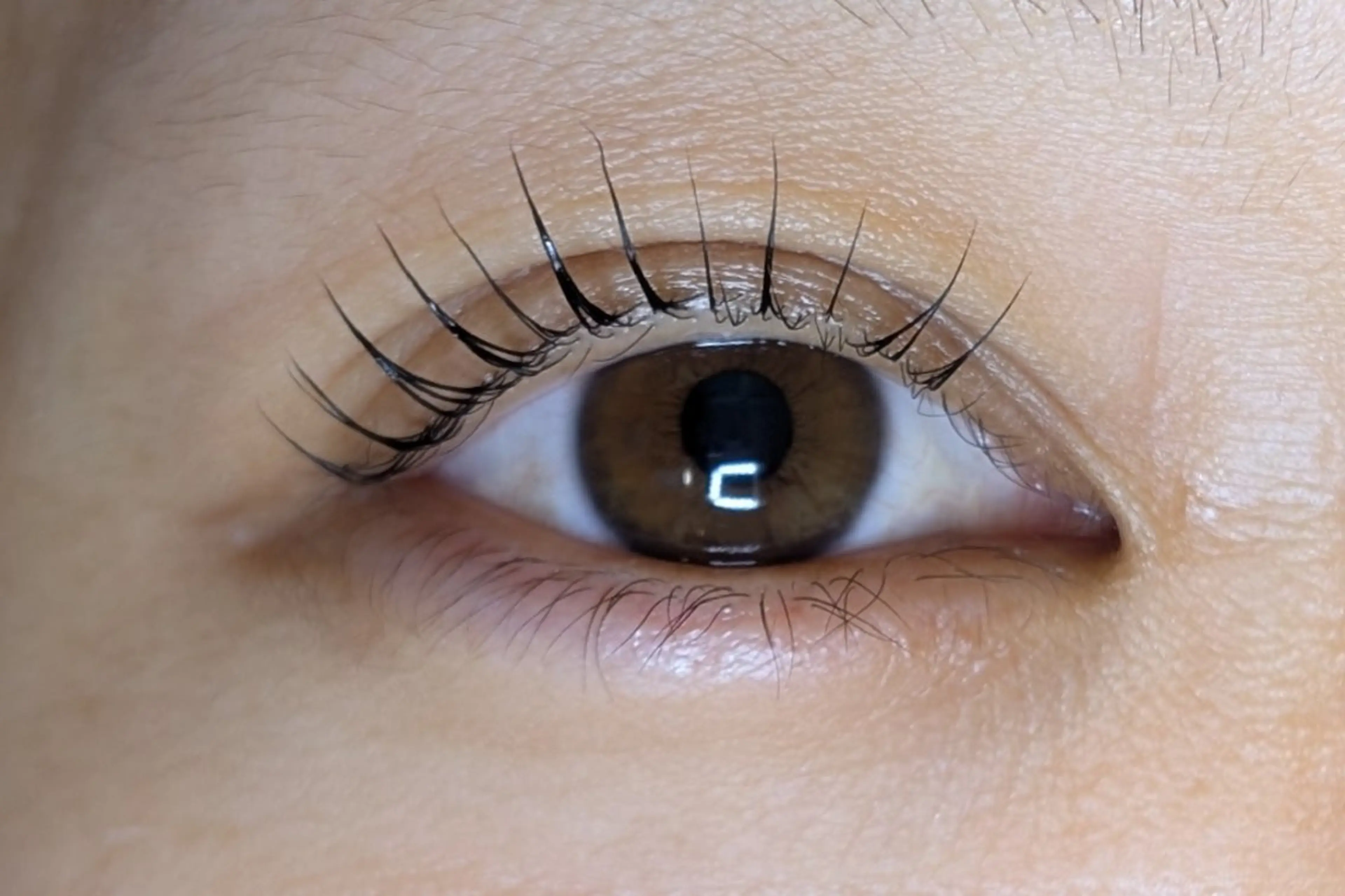 【１年以上ぶりの再来店限定】ラッシュリフト通常価格から10%OFF！の写真