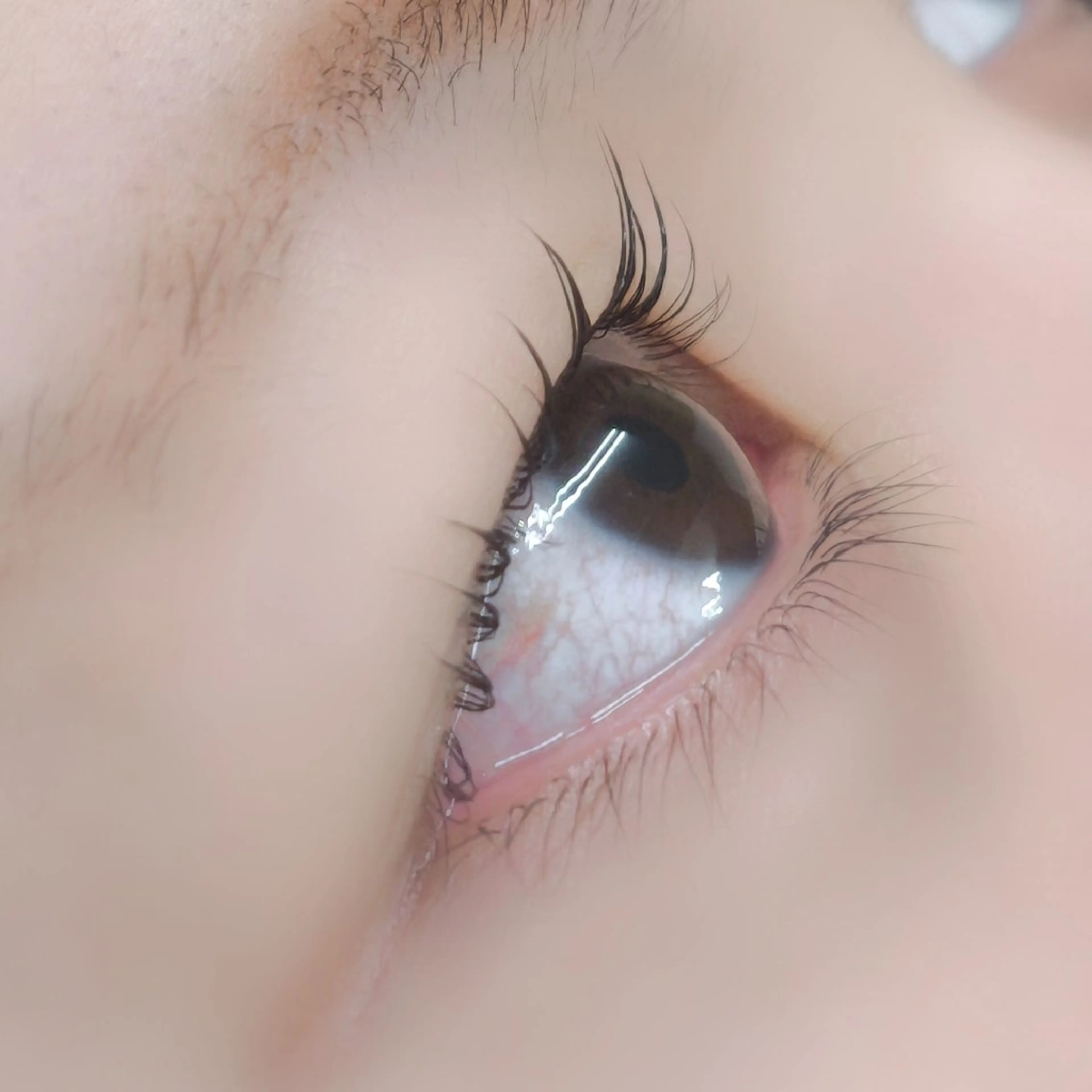 マツエク・マツパ パリジェンヌラッシュリフト 八子 ほのか/EYELA のマツエク・マツパデザイン