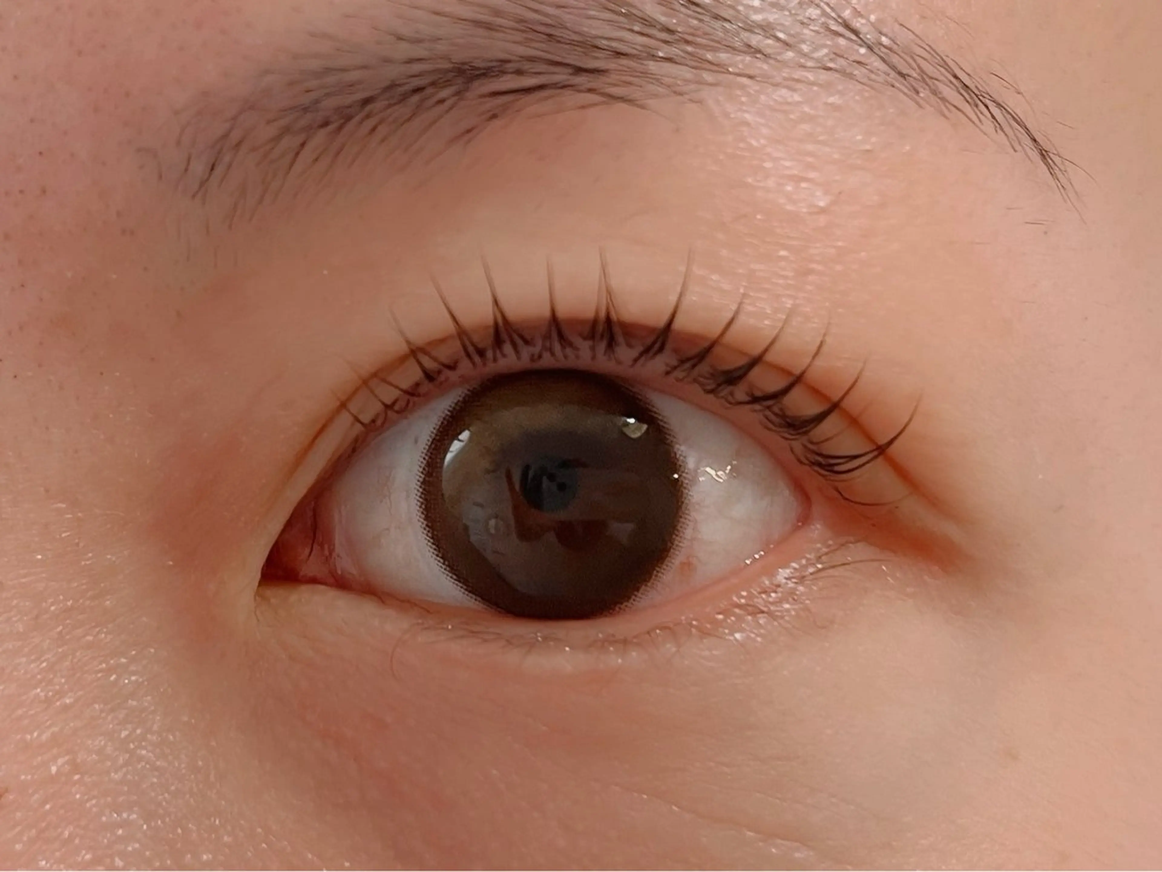 マツエク・マツパ eyelasheeeアイラシー所属・eyelasheee アイラシーのマツエク・マツパデザイン