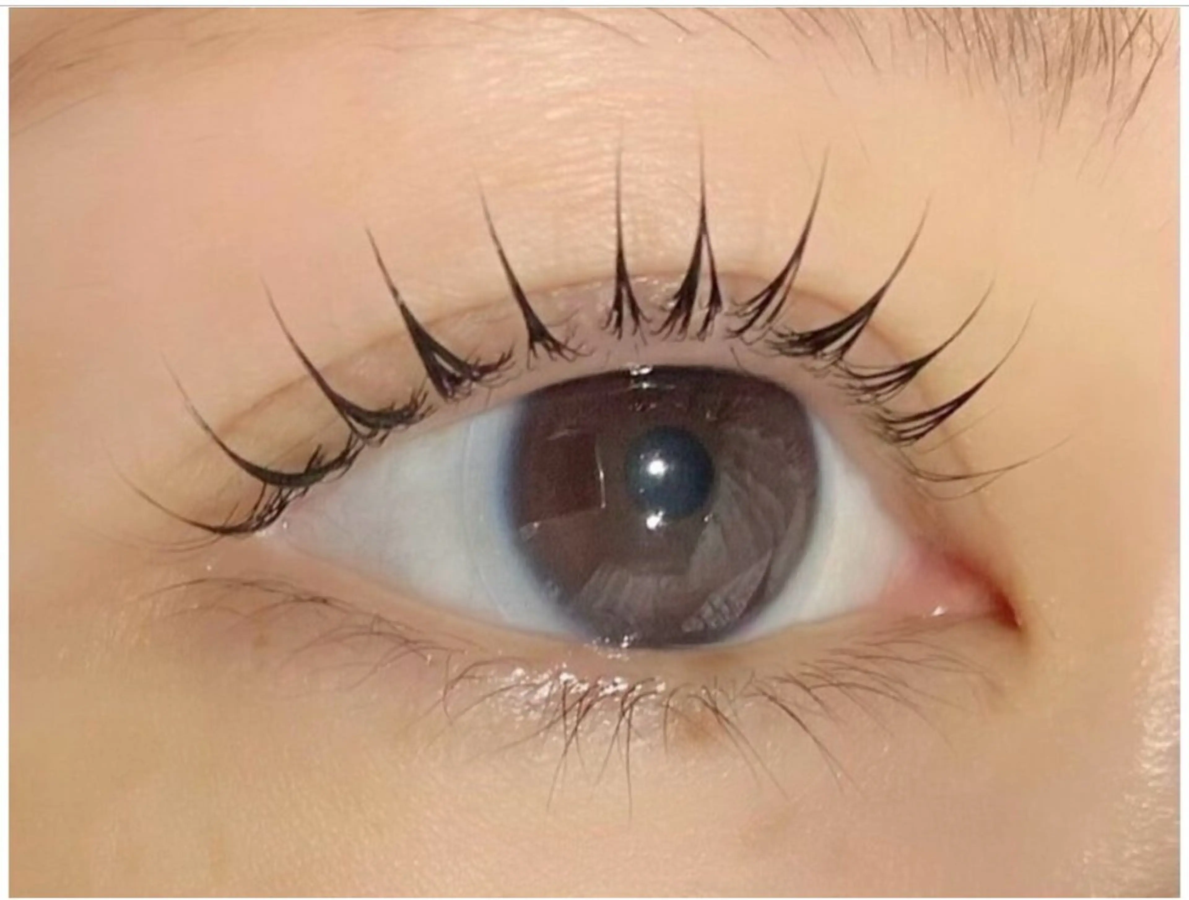 マツエク・マツパ Le'a first 大和八木店所属・Le'a firstのマツエク・マツパデザイン