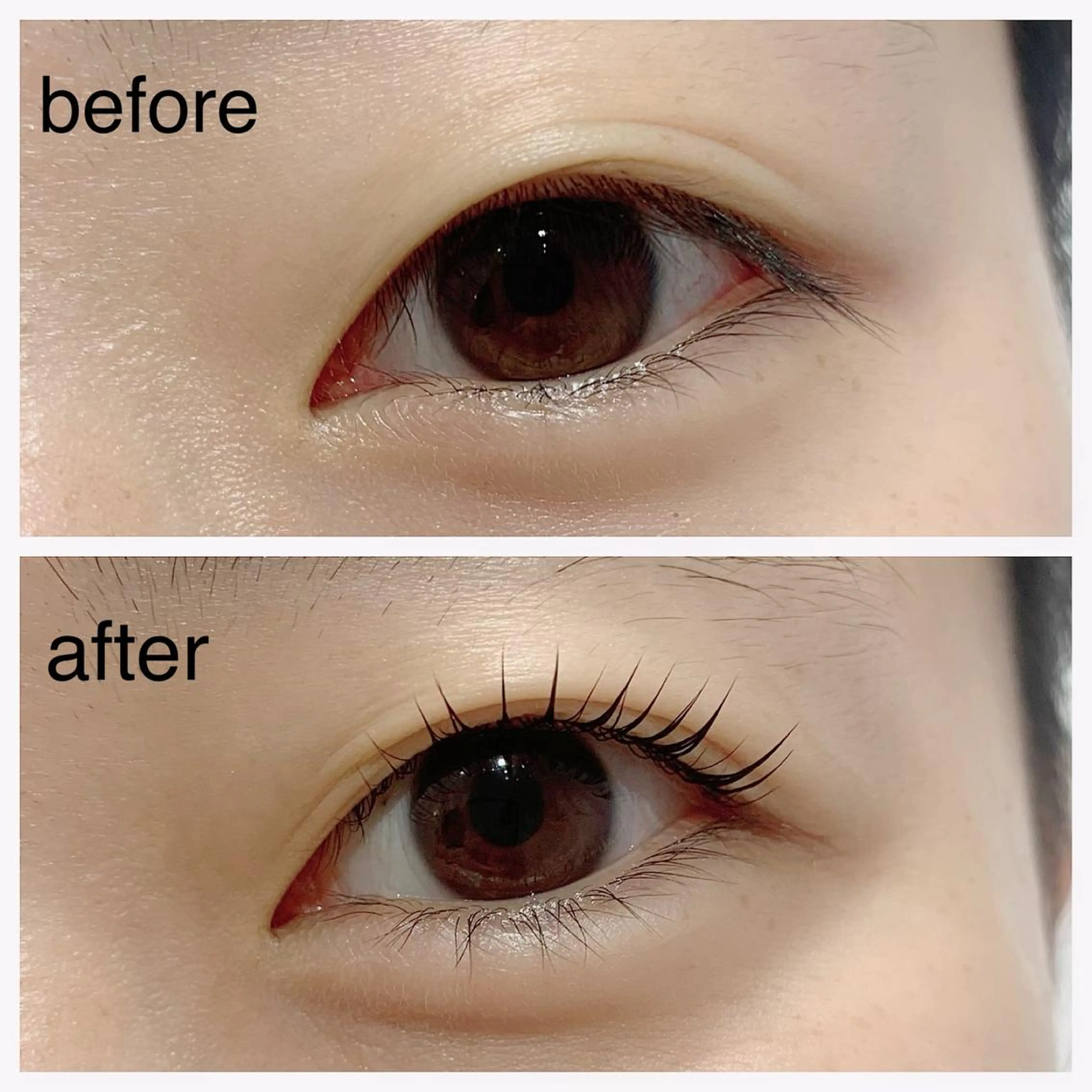 マツエク・マツパ パリジェンヌラッシュリフト 池袋駅韓国風🇰🇷 束感💗Tomoのマツエク・マツパデザイン