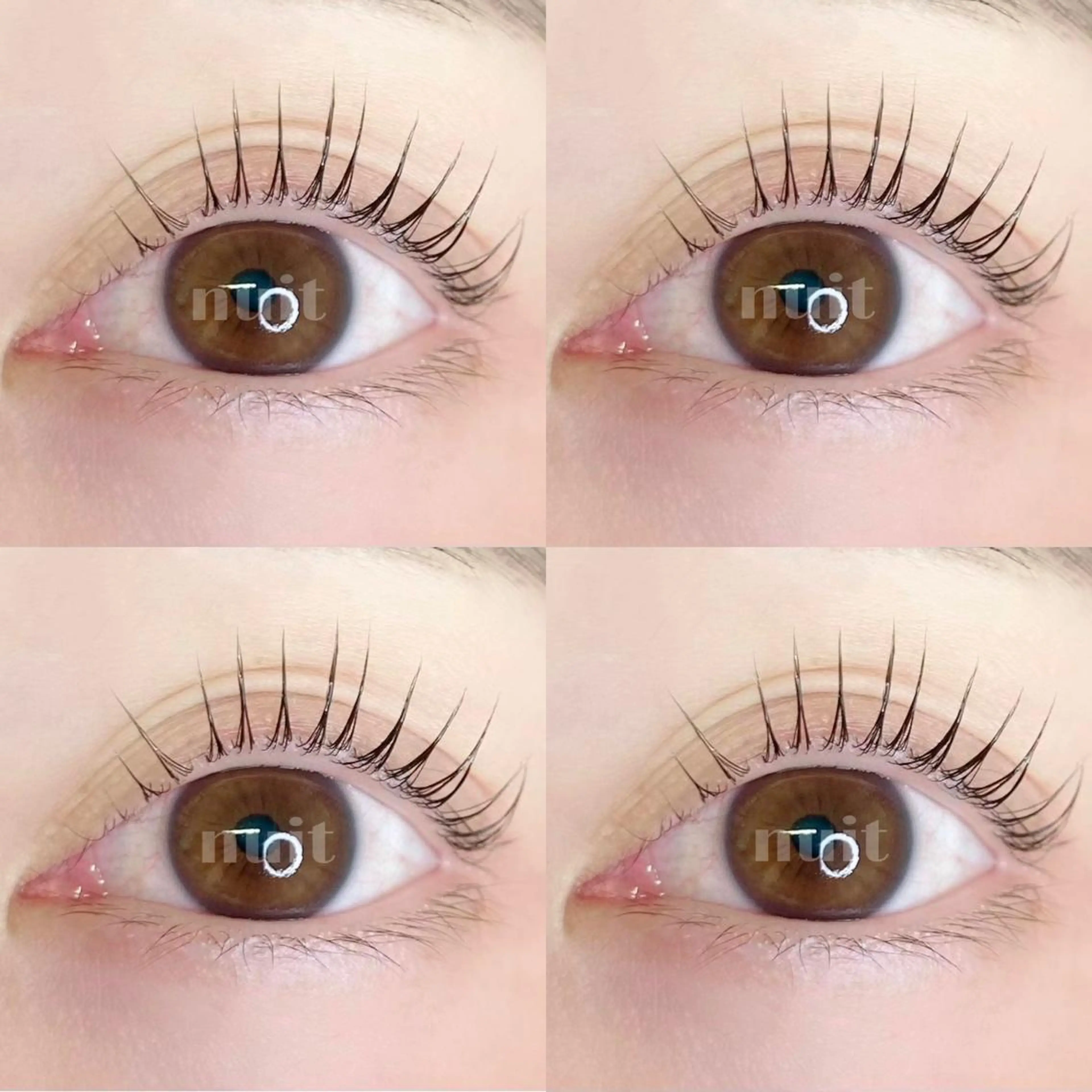 マツエク・マツパ パリジェンヌラッシュリフト eyelash  salon  nuit【ニュイ】所属・nuit 【ニュイ】 大宮 /　yucaのマツエク・マツパデザイン