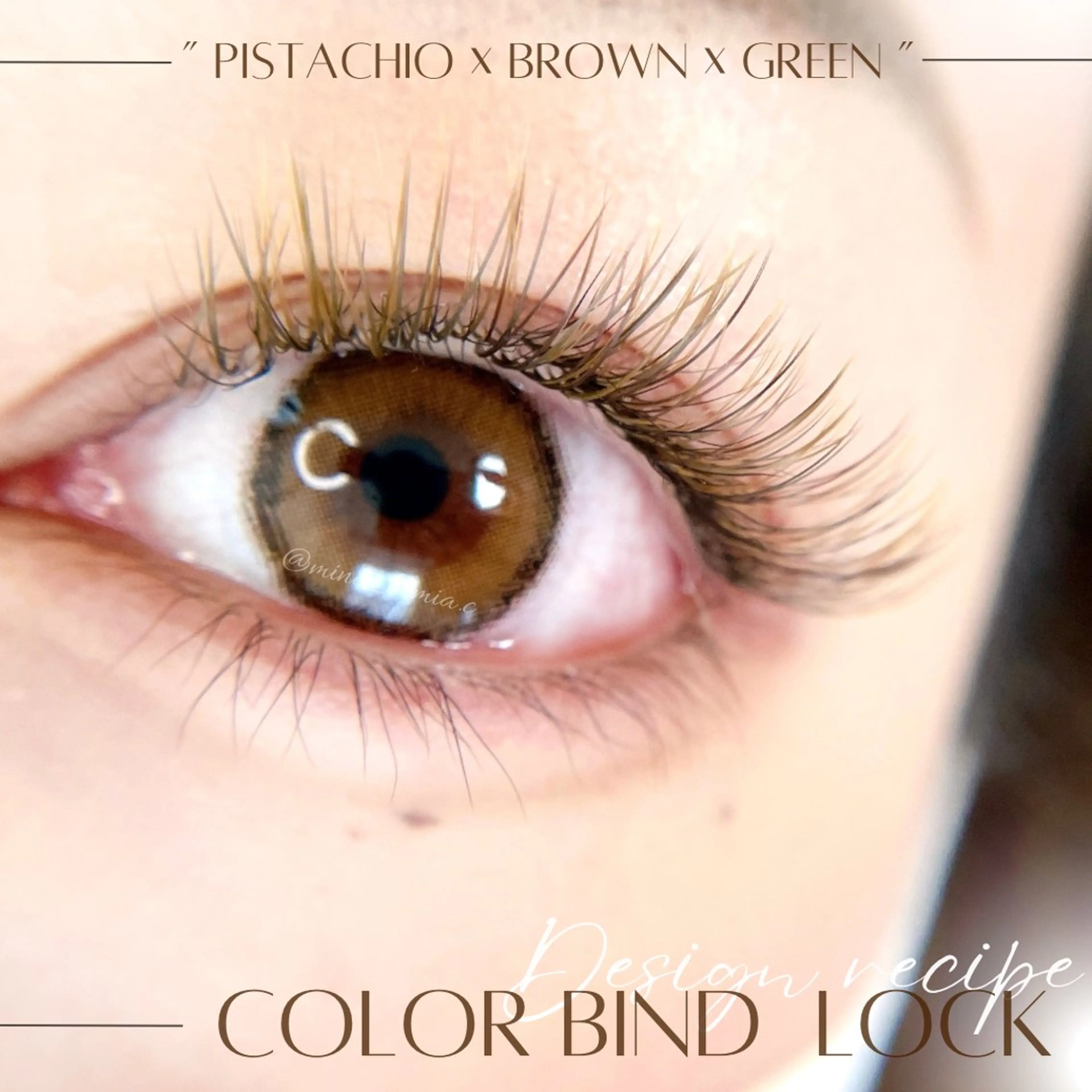 マツエク・マツパ マツエク LaMia.C ラミア所属・LaMia.C ラミアのマツエク・マツパデザイン